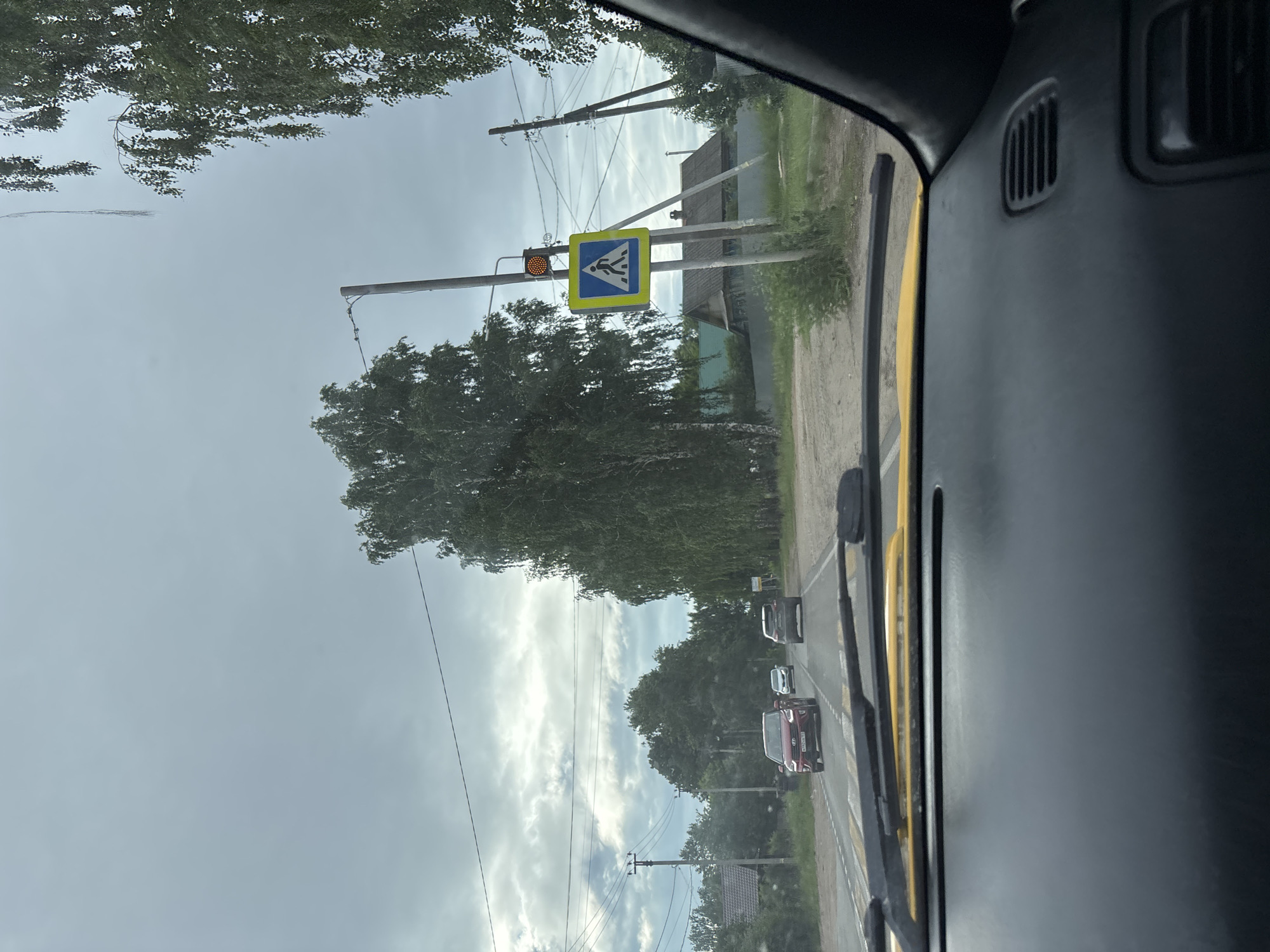 The image shows a view from inside a car driving on a road, likely in Chaikovsky, Russia, given the context. The road has lane markings and a pedestrian crossing is visible ahead. A red car is in front, followed by other vehicles. On the right side of the road, there is a pedestrian crossing sign with a flashing amber light above it. Tall trees line the road, and houses are visible in the background, suggesting a suburban or rural setting. The sky is overcast. The interior of the car, including the dashboard and windshield wipers, is visible in the foreground.
