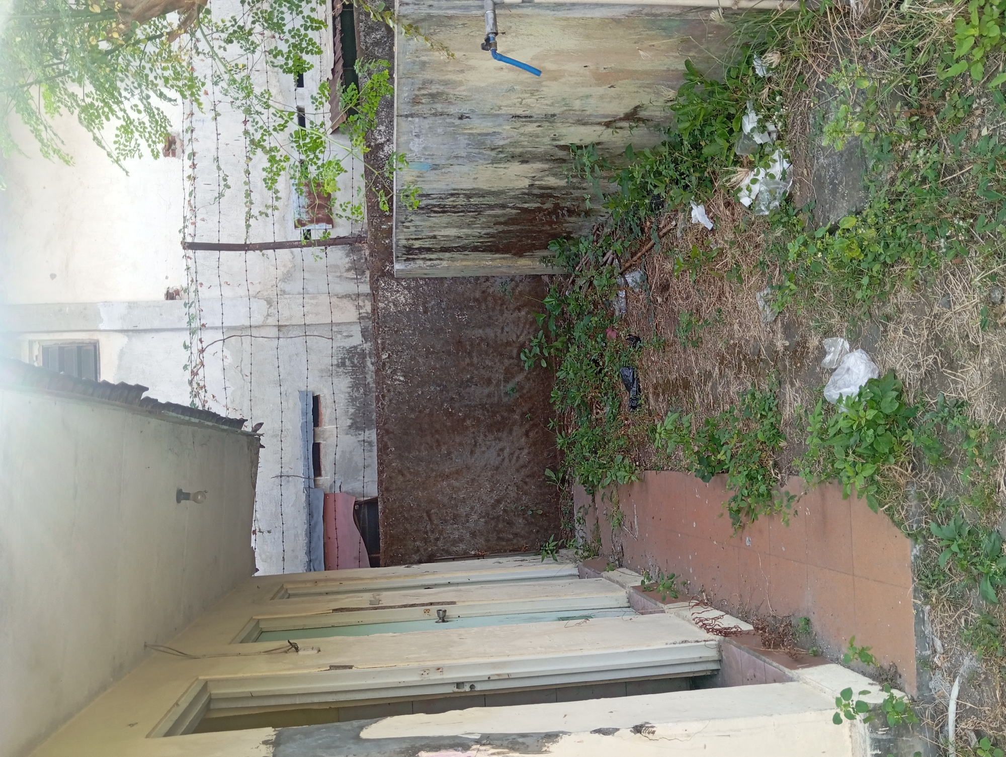 The image depicts an outdoor scene in what appears to be a neglected area, possibly a side alley or backyard, located in Pandaan, Indonesia. A row of doors, painted in faded cream and light blue, lines the left side of the frame, suggesting the presence of multiple rooms or stalls. The overhead structure, a concrete overhang, shows signs of disrepair with broken edges and a dangling light bulb.
The ground is a mix of terracotta-colored tiles forming a narrow walkway and unkempt dirt and dry grass. Overgrown weeds and small plants are emerging from cracks and patches of soil, indicating a lack of maintenance. Scattered on the ground are various pieces of refuse, including plastic bags and what appears to be discarded packaging, adding to the overall impression of disarray.
In the background, a rough, textured wall with a dark, weathered finish forms a boundary. Beyond this wall, a more modern concrete structure is visible, topped with barbed wire fencing. This fencing suggests a security measure or a division of property. To the far right, a large, discolored concrete water tank is present, with a blue spigot protruding from it. The tank's surface is stained and mottled, suggesting age and exposure to the elements. A tree with green foliage is visible on the upper right side of the image, providing a stark contrast to the otherwise drab and neglected environment. The lighting suggests it is daytime, with the sun casting a bright glare in the upper left portion of the image. No people are visible in the scene.