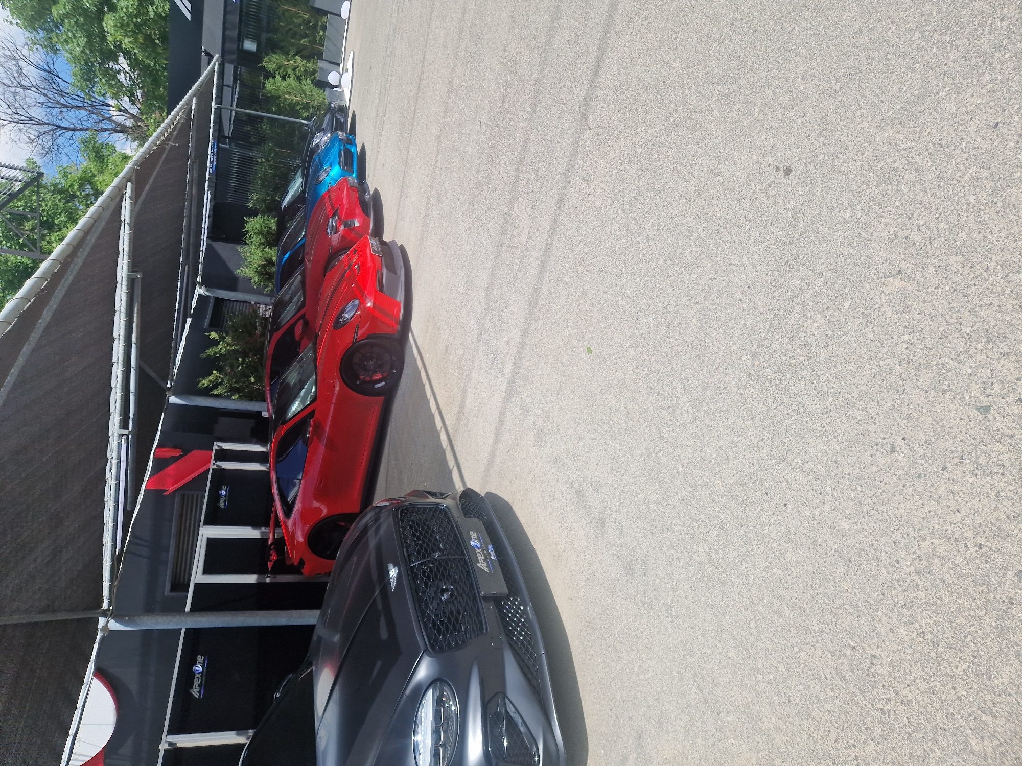 The image shows a row of cars parked under a covered area at a location with "ApexOne" branding, somewhere in the city of Unknown, Unknown. The vehicles consist of a dark gray car in the foreground followed by multiple red cars, and a blue car at the end of the row. The area adjacent to the cars is paved and visible trees and other greenery are visible in the background. The scene appears to be taken during daylight hours.