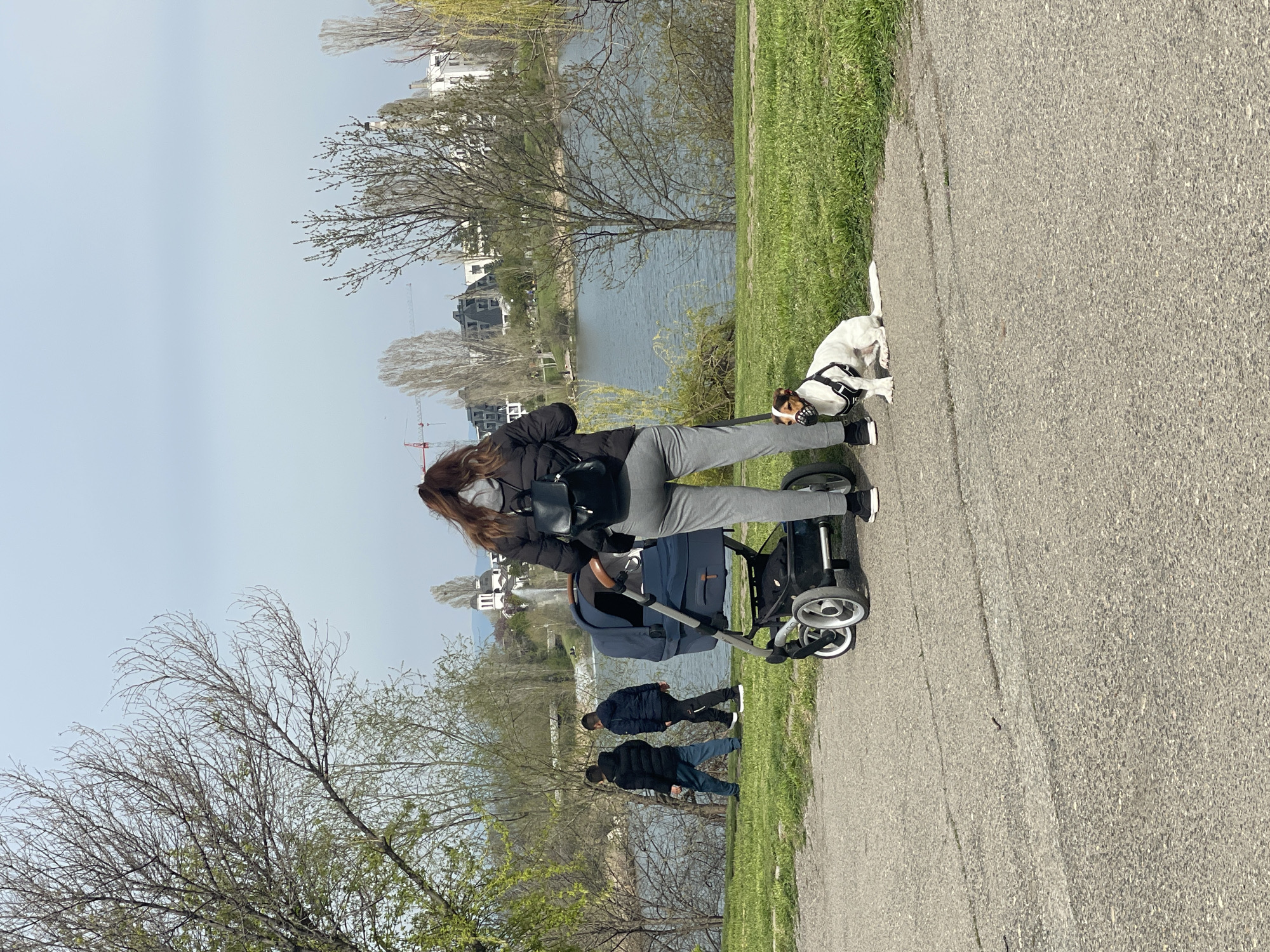A woman is walking a dog while pushing a baby stroller on a paved path beside a river. The woman is wearing a black jacket, grey pants, a face mask, and a black backpack. The stroller is dark blue. The dog is white with brown markings. Two men are walking in the background. The river is lined with trees and buildings. The scene is likely in a park in the city of Sofia, Bulgaria, based on the architecture and general environment.