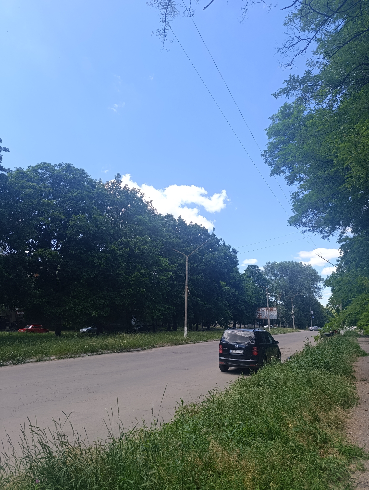 A wide, paved road runs diagonally from the lower left to the upper right of the frame, bordered by a strip of tall green grass and a sidewalk on the right. Lush green trees line the left side of the road, with dense foliage forming a wall of greenery. A black SUV with license plate AE 7112 XC is parked on the right side of the road, facing away from the camera. Further down the road, a red sedan is visible on the left side. The sky above is a bright blue with scattered white clouds. Utility poles and wires are visible in the distance. The scene appears to be a street in a city on a clear day.