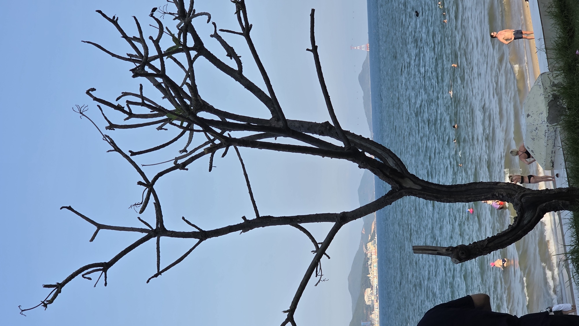 The image shows a coastal scene in Nha Trang, Vietnam, partially framed by a leafless tree branch in the foreground. The background depicts a beach with several people: some swimming in the water, others sunbathing on the shore. A coastline with buildings extends along the distant horizon. The sky is clear and blue. The image is rotated to the left. A person is partially visible in the bottom centre.