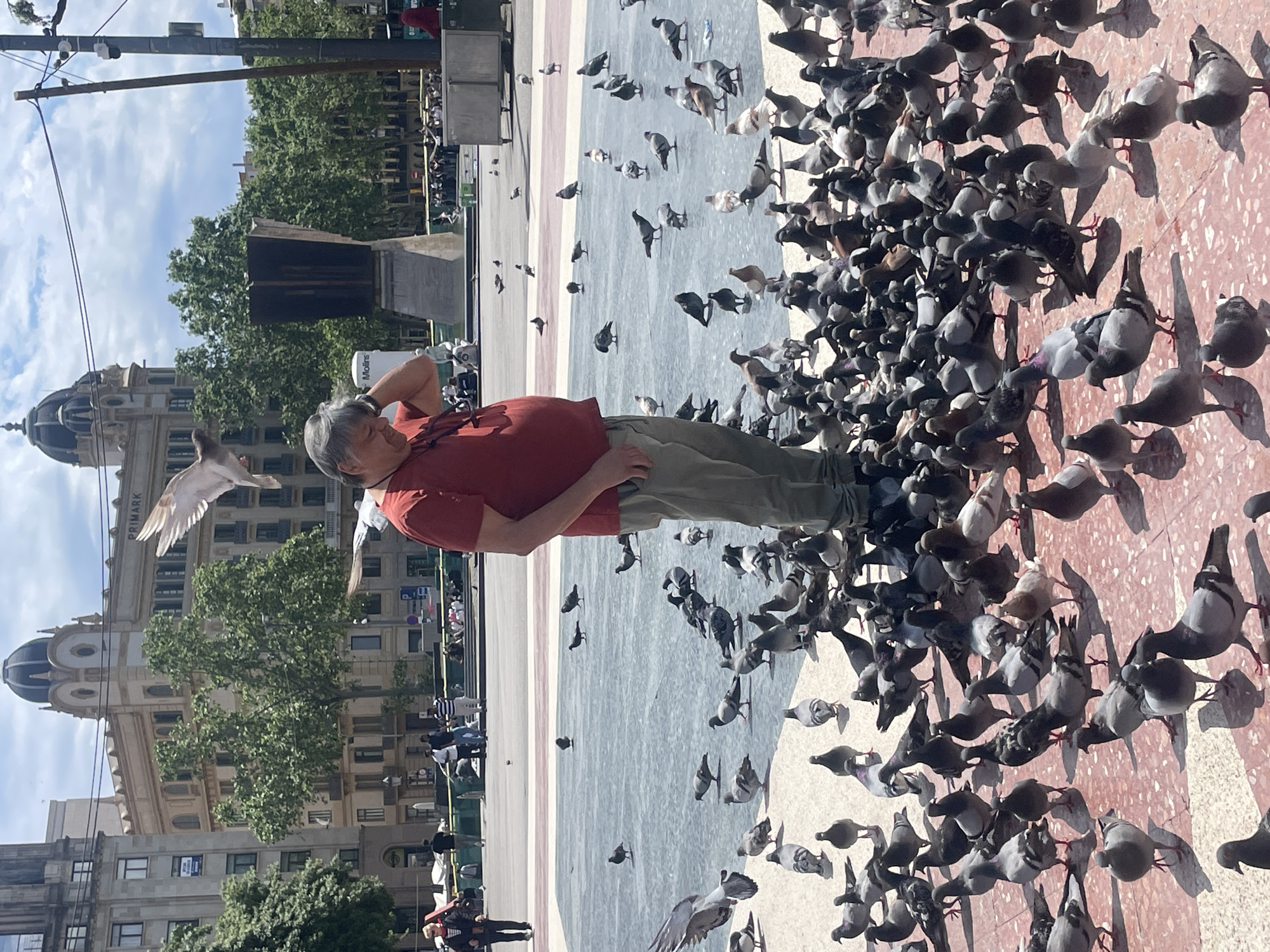 A man stands in a plaza in Barcelona, Spain, surrounded by a large flock of pigeons. The man is wearing a red shirt and khaki pants. He is looking slightly upward and has one hand on the back of his head. Pigeons are on the ground, some flying nearby. The plaza has a pattern of white, gray, and red tiles. In the background, there are trees and buildings, including one with a distinctive domed roof. People are walking in the distance.
