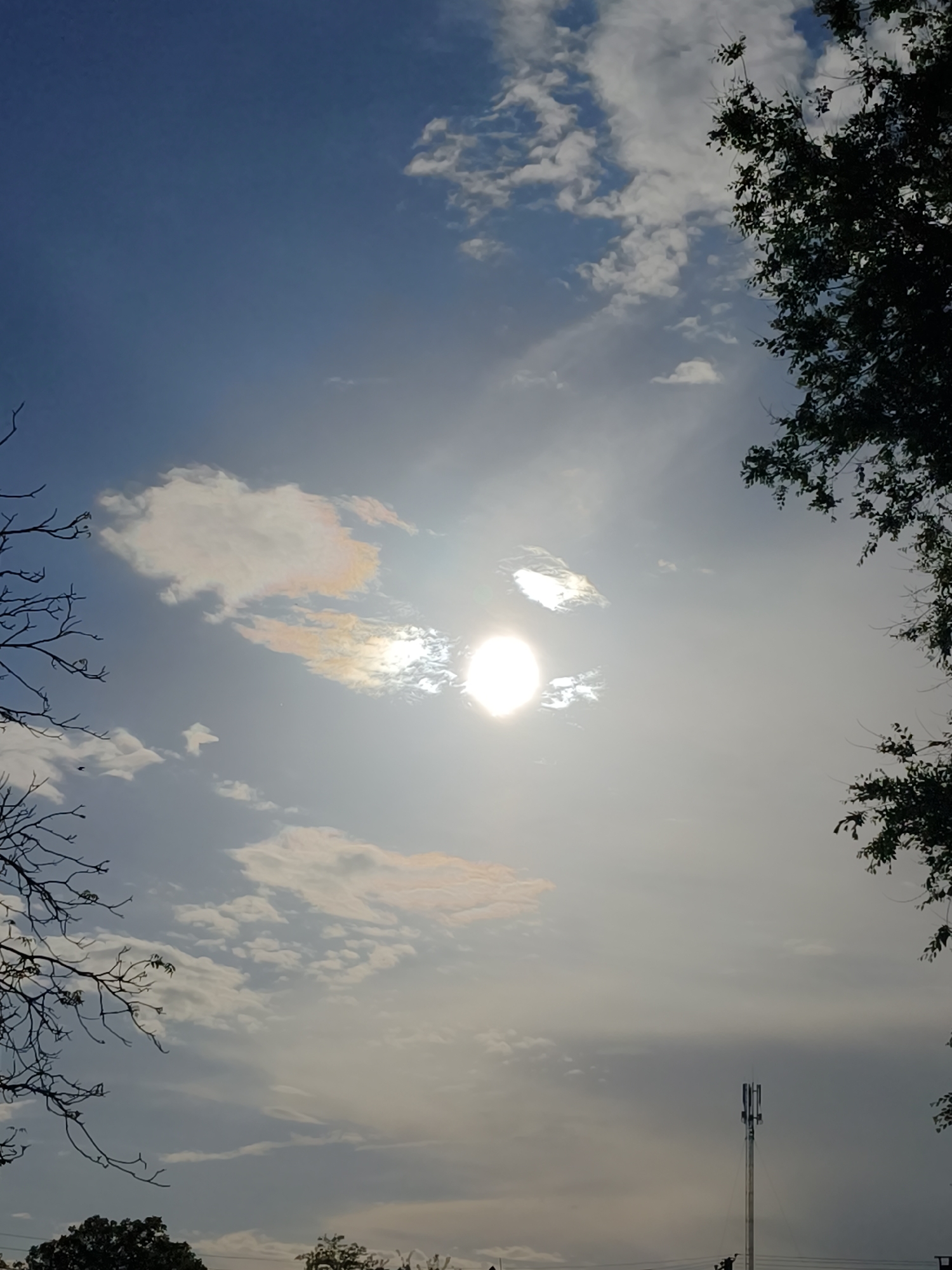 The image is an upward view of a sky filled with clouds, with the sun prominently visible. The sun's intense light causes glare, but faint iridescence is visible in the clouds surrounding it. Tree branches frame the image on the left and right sides. In the lower center, a cell tower rises above some trees and power lines. The general light suggests daytime. The city location in Kryvyi Rih, Ukraine cannot be identified from this image. There are no people visible in the image.