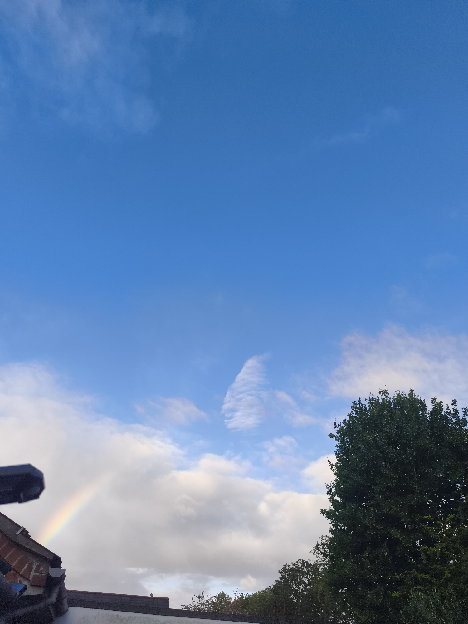 The image displays an outdoor scene featuring a vibrant partial rainbow against a bright blue sky with scattered white clouds. The rainbow, with its visible spectrum of colors, originates above the roofline of a residential building on the left side of the frame. This roof is constructed from red bricks and includes a grey gutter. A dark, blurry object, resembling a security camera or antenna, is visible in the extreme upper-left foreground.
A tall, dense green tree dominates the right side of the image, its foliage extending from the bottom to near the top. In the distance, a small bird is perched on a low wall or roof. The presence of the rainbow indicates that the weather conditions involve both recent rain and sunlight. The time of day is daylight, likely morning or late afternoon, as suggested by the visibility of the rainbow. The scene provides a glimpse into a residential environment, possibly in Huntingdonshire, United Kingdom. No text is visible in the image.