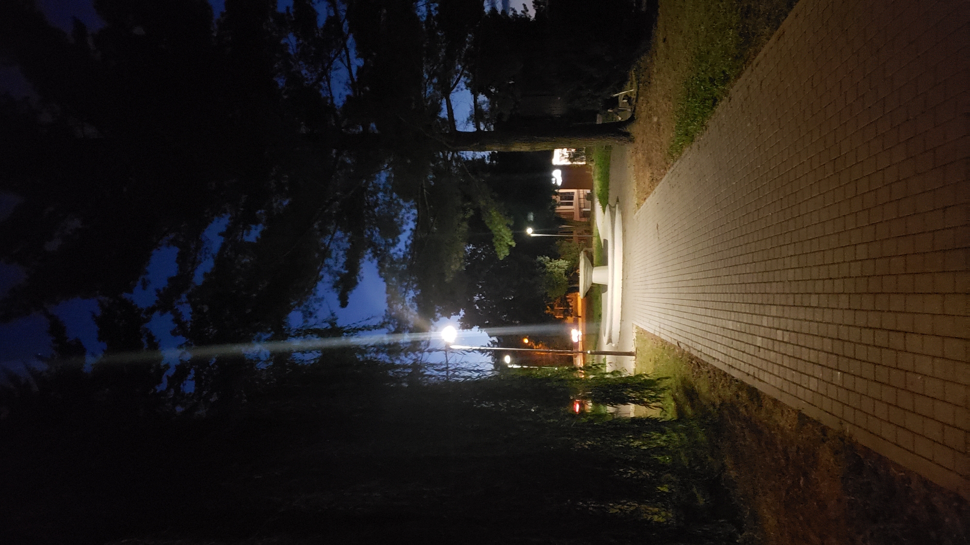 The image depicts an outdoor scene at night, likely in a park or public square, with a paved walkway leading towards a fountain. Streetlights illuminate the path and a decorative fountain. On the left, a large weeping willow tree casts shadows, while on the right, a pine tree stands tall. The sky above is dark blue, with some clouds visible. The setting appears tranquil and sparsely populated, suitable for a stroll or quiet contemplation. While the image is not explicitly located in Prešov, Slovakia, the architectural style of the fountain and streetlights, along with the surrounding vegetation, could be consistent with such a location. There are no people or animals visible in the frame.