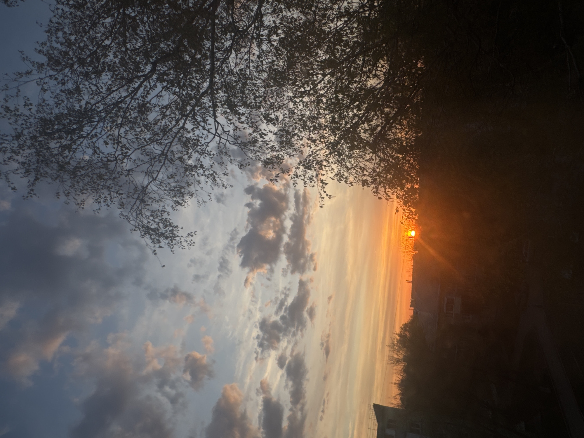 A landscape photograph captures a sunset in Nizhny Novgorod, Russia. A silhouetted tree branch frames the upper portion of the image, partially obscuring a colorful sky. The sunset hues range from pale blues and grays to warm oranges and yellows. The sun, a bright orange disc, is visible near the horizon. In the lower right corner, the tops of buildings are silhouetted against the sunset. The image is rotated.