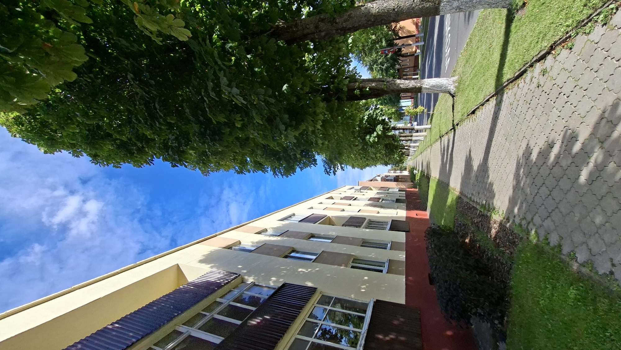 The image depicts a street scene in the city of Myadzyel, Belarus, on a clear day with a vibrant blue sky dotted with white clouds. A sidewalk, paved with grey interlocking blocks, runs along the left side of the frame, adjacent to a low-rise apartment building. The building features a light yellow facade with alternating bands of darker yellow and a deep red base. Numerous windows with dark-framed balconies are visible along its length.
To the right of the sidewalk is a well-maintained strip of green grass, bordered by a dark curb. A row of mature trees with lush green foliage lines the street, their trunks whitewashed near the base. The trees cast dappled shadows onto the sidewalk, indicating the position of the sun. Beyond the trees, a paved road is visible, with the hint of traffic signals and other buildings in the distance. The overall impression is one of a quiet, residential urban environment. There are no people or animals visible in the image, nor any overt signs of recent activity.