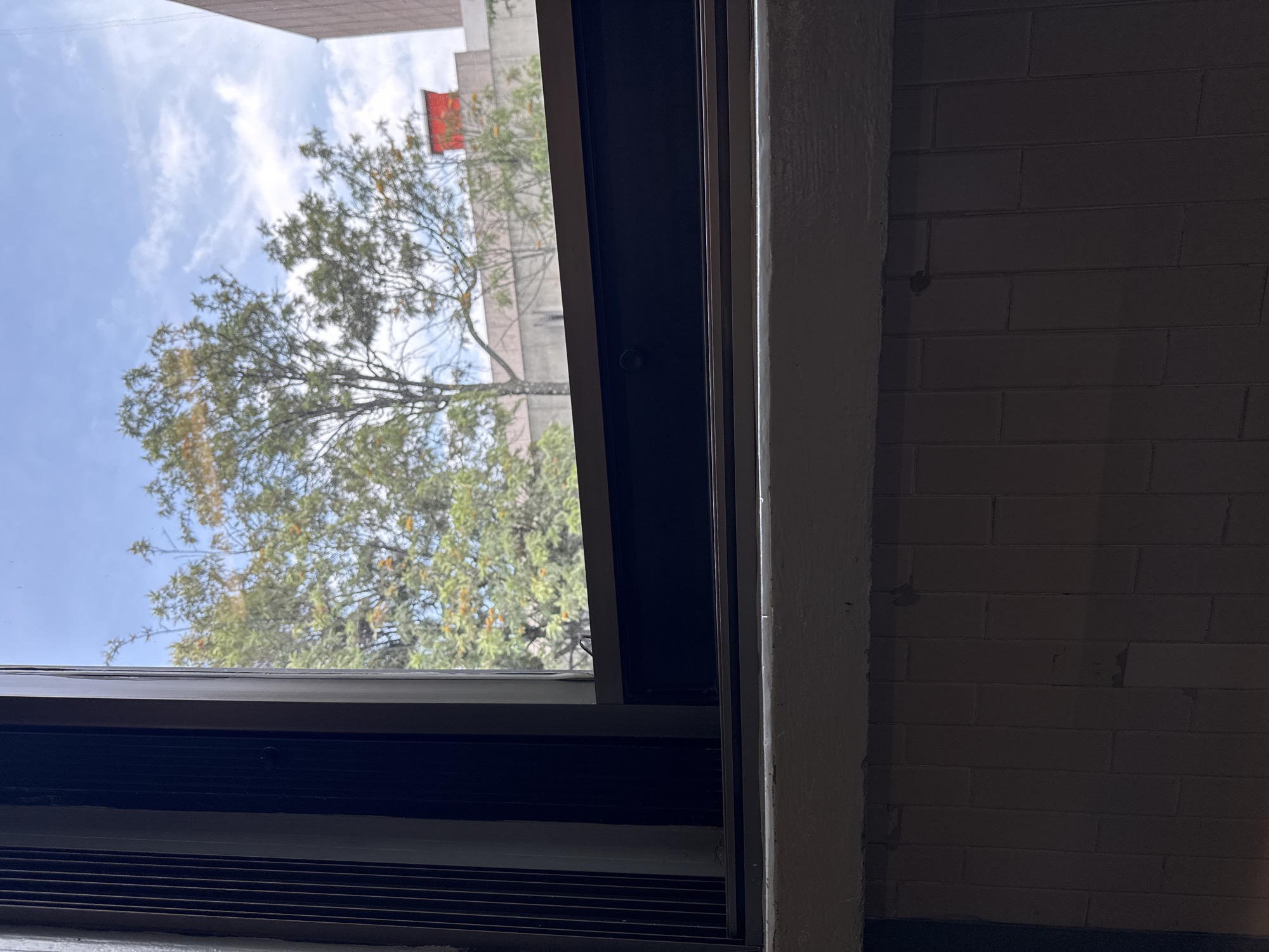 The image shows a view through a window. Outside, there is a tree with green and yellow foliage against a blue sky with clouds. A building with a red structure on top is visible behind the tree. The window frame is black. To the right of the window, there's a white-painted brick wall in shadow. The location appears to be indoors, looking out. The city and specific location are unknown.