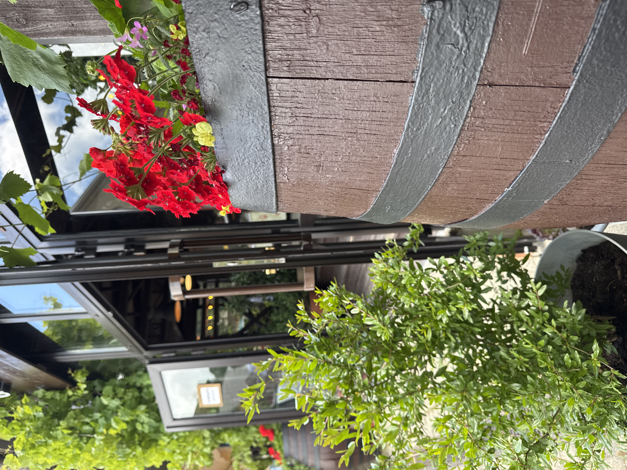 This is a close-up, eye-level shot of a wooden barrel planter filled with red flowers, positioned outdoors in front of a building with large glass doors and windows. The barrel is dark brown with two dark gray bands around it. The red flowers, some yellow flowers, and a few small pink flowers are visible in the planter. To the left of the barrel, a lush green bush in a metal pot is in focus. In the background, the glass doors and windows of the building reflect the sky and surrounding greenery. The overall impression is one of an inviting outdoor seating area, possibly part of a restaurant or cafe in the city of Abrau-Dyurso, Russia, known for its wineries and scenic beauty.