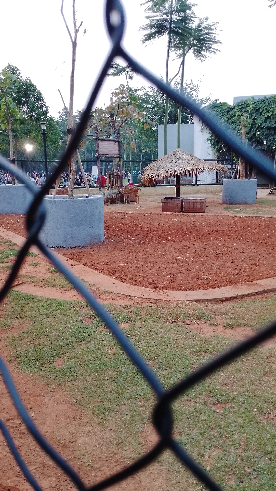 The image depicts an outdoor enclosure at a zoo, likely within South Tangerang, Indonesia, as evidenced by the presence of palm-like trees and a general tropical aesthetic. In the foreground, a chain-link fence obstructs the view of the scene. Beyond the fence, the enclosure features a dry, reddish-brown dirt ground with patches of green grass along its perimeter. Two light gray, cylindrical planters are positioned within the enclosure. In the mid-ground, a thatched-roof shelter stands with two wooden planters beneath it. Two deer, one with spotted fur, are present in the enclosure, near a hay bale and a wooden structure with a sign. In the background, numerous trees, including tall palm trees, line the enclosure. A crowd of people, presumably visitors, are visible in the far background, behind a black fence, indicating they are observing the animals. The sky is overcast and bright, suggesting either early morning or late afternoon.