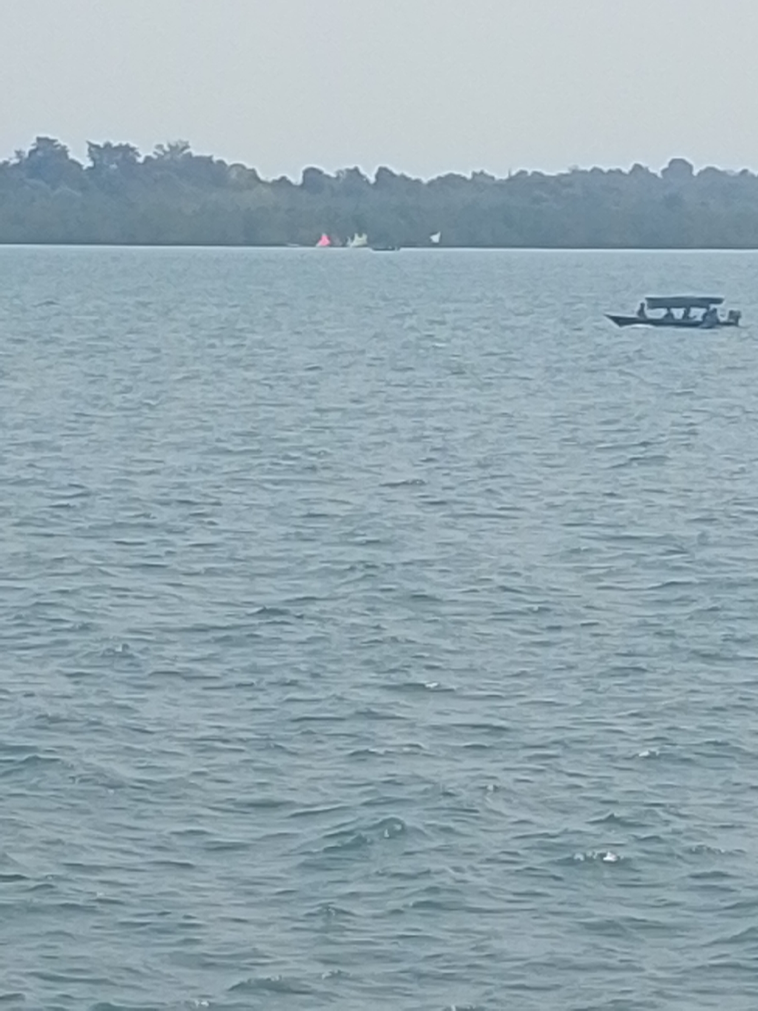This image depicts a wide body of water, likely the Strait of Singapore, as seen from the coast of Batam, Indonesia. In the distance, a treeline of dense foliage forms the shoreline of Batam Island. The water is a calm, slate-blue color with gentle ripples reflecting the overcast sky.
On the water, several objects are visible. In the mid-ground, a narrow, dark-colored motorboat with a canopy is moving from left to right. It appears to have at least three people on board. Further to the left, closer to the distant shore, are two small, triangular-shaped objects, possibly buoys or markers, one appearing pink and the other white. There are also other indistinct white shapes on the water in the far distance, which could be small boats or debris. The overall atmosphere is serene and slightly hazy.