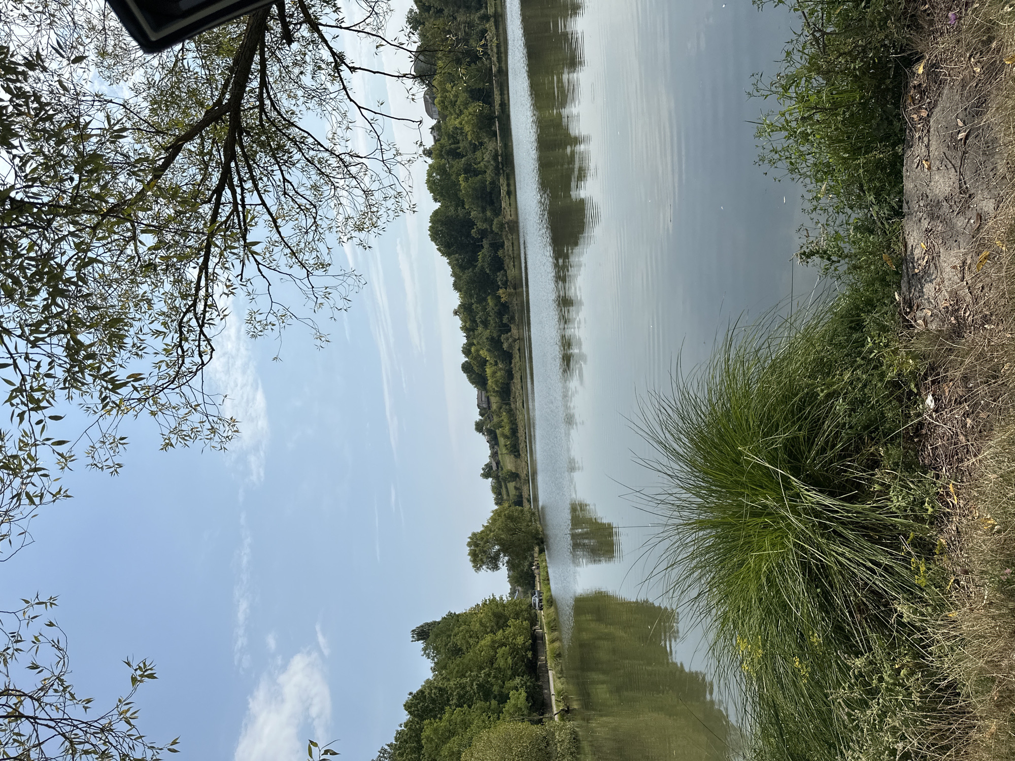 This image depicts a serene lake scene with lush green trees lining the far bank and a clear blue sky with scattered white clouds above. The foreground features tall, wispy green grass on the left and drier vegetation on the right, leading down to the water's edge. A large, bushy clump of grass dominates the immediate foreground. The lake's surface is calm, reflecting the surrounding trees and sky. In the distance, along the opposite shore, a line of trees is interspersed with glimpses of houses on a gentle slope. A narrow road runs along the left bank of the lake, with a couple of vehicles and a few indistinct figures visible. The overall impression is one of a tranquil, rural landscape. Based on context, this location is likely within or near Makiv, Ukraine.