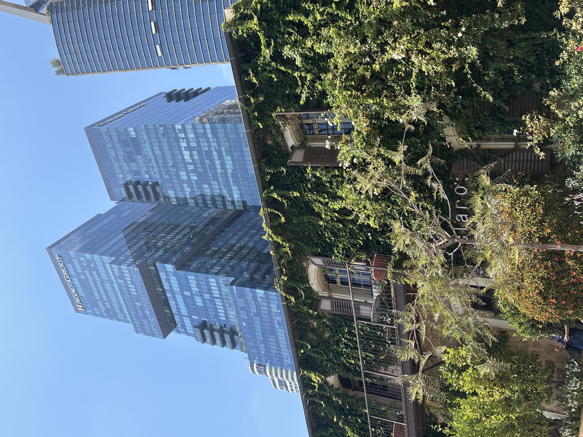 The image depicts a scene in Tel-Aviv, Israel, where a historic building covered in lush green ivy is juxtaposed with modern skyscrapers. The ivy-covered building features traditional shutters on its windows and a balcony with a metal railing, suggesting an older architectural style. In the background, contemporary glass-fronted skyscrapers dominate the skyline, one of which displays the "HAGAG GROUP" logo. The sky is clear blue, indicating a sunny day. Trees and foliage are visible in the foreground, adding to the natural element of the scene. A person is seated in the lower-left portion of the image, partially obscured by vegetation. The overall impression is a blend of old and new, with nature intertwining with urban development.