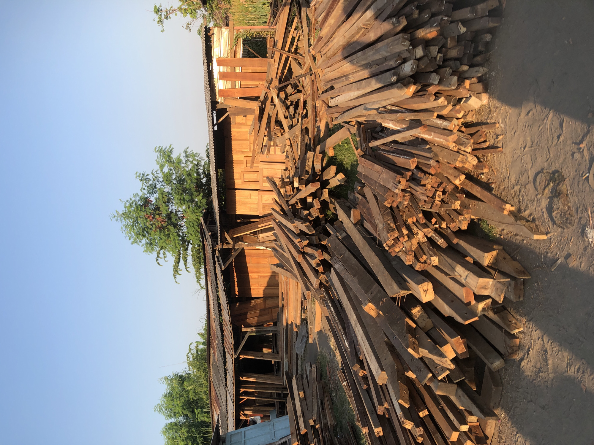 The image depicts an outdoor lumber yard, likely located in Gempolsari, Indonesia, as indicated by the context. In the foreground, a large pile of assorted wooden planks and beams are stacked haphazardly on the ground, casting long shadows in the warm, low-angled sunlight, suggesting it is late afternoon or early morning. The lumber varies in size and condition, with some pieces appearing rough and unfinished, while others are smoother and more uniform.
Behind the lumber pile, a rustic wooden structure with a corrugated metal roof stands. This building appears to be a workshop or storage area, with wooden doors and panels visible inside. The structure is supported by visible wooden posts and beams, adding to the overall impression of a functional, perhaps artisanal, workspace. Trees and foliage are visible in the background, adding a touch of greenery to the scene, and the sky is a clear, pale blue. The ground surface is a mixture of dirt and sand. There are no people visible in the image, and no specific actions or interactions are depicted. The scene conveys a sense of a working lumber yard, possibly a small business or a personal project.