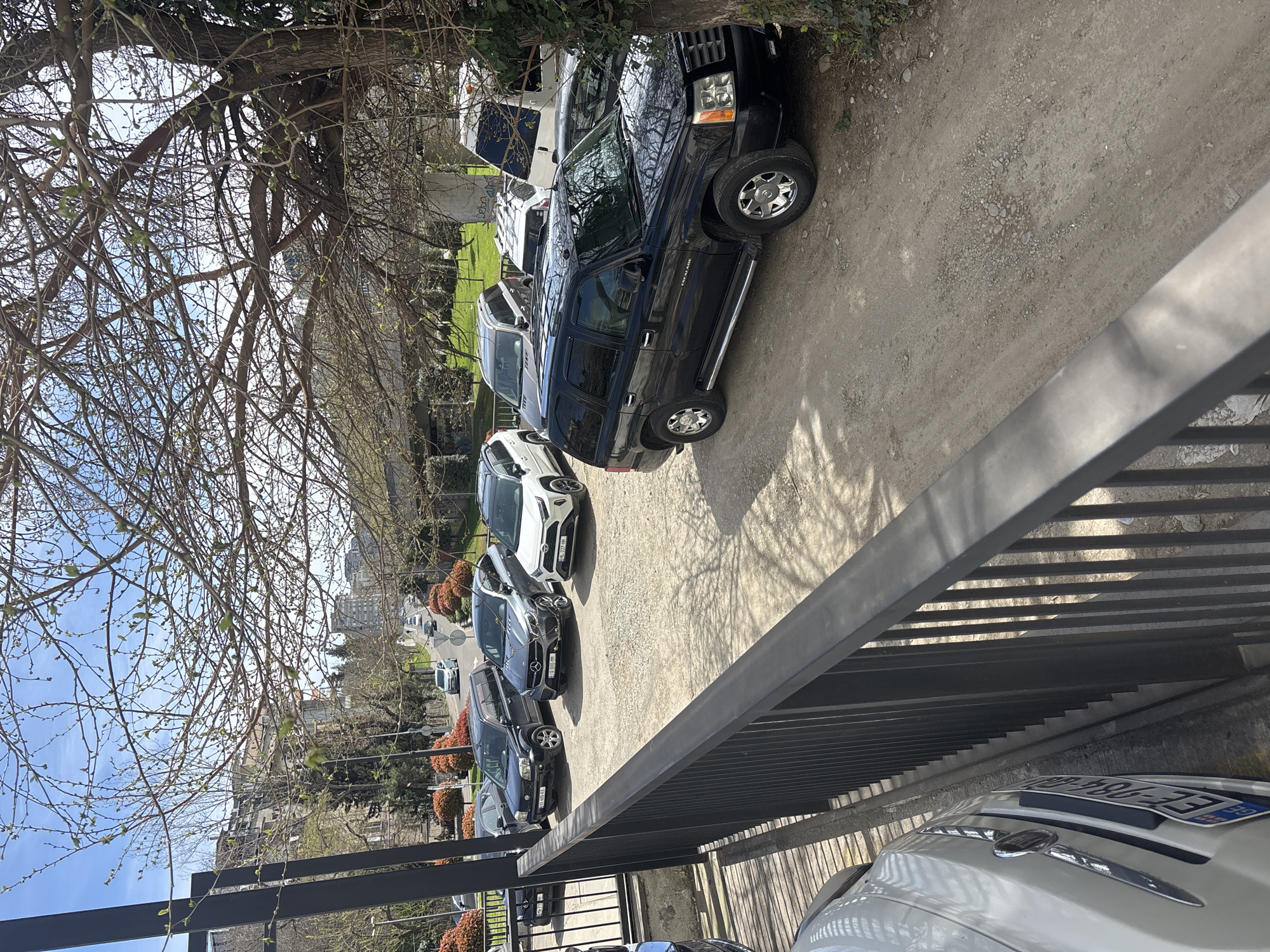 The image shows a row of parked cars in what appears to be a parking area in Tbilisi, Georgia. The cars are of various makes and models, including a black Cadillac Escalade. A metal fence is in the foreground. A tree with bare branches is visible to the left. In the background, there are buildings and a street. The sky is partly cloudy.