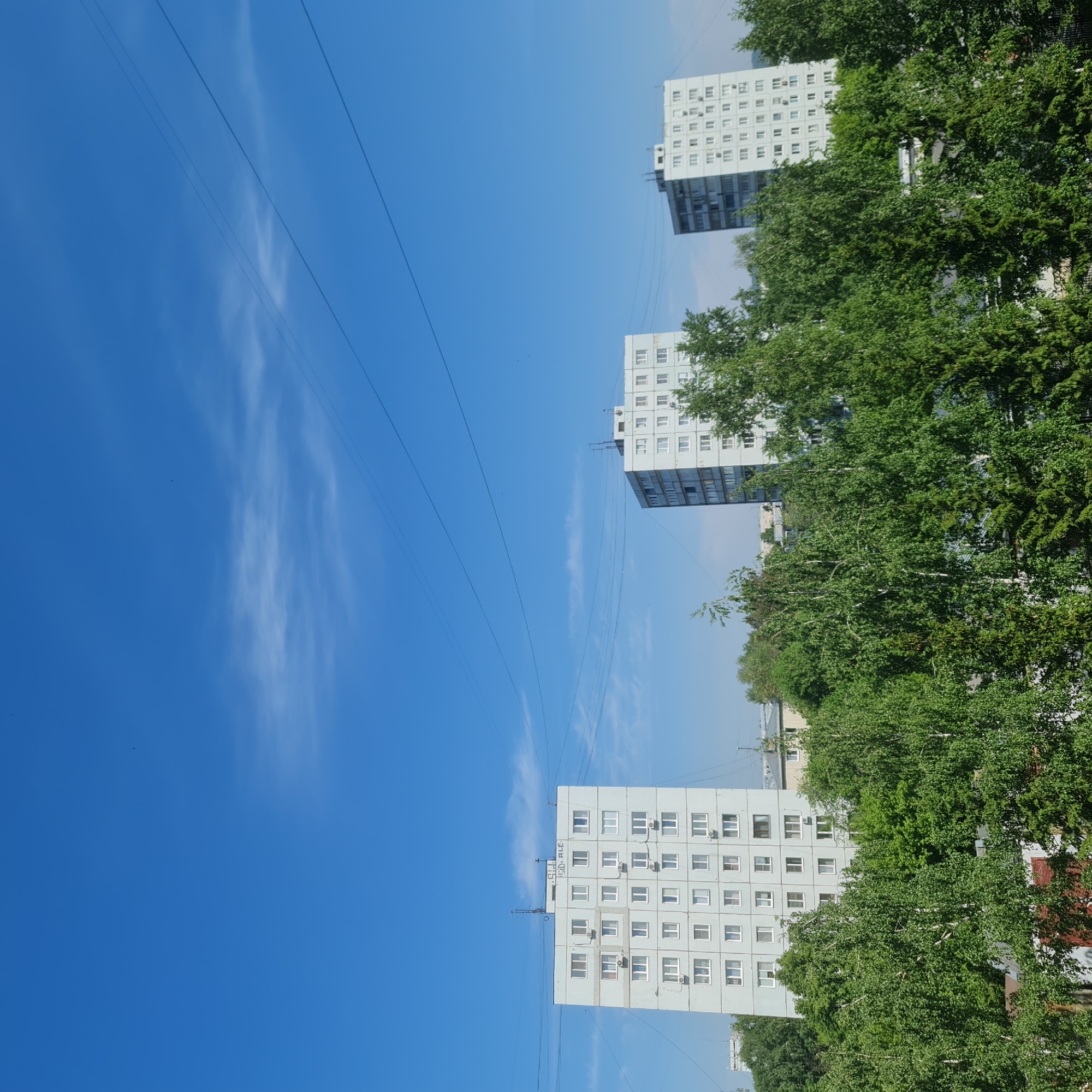 The image captures an urban landscape on a bright, clear summer day, consistent with the city of Kemerovo, Russia. The sky is a deep blue with faint, wispy cirrus clouds horizontally streaking across the upper mid-frame, and several thin, dark power or communication lines traverse the sky from left to right. The immediate foreground is dominated by a dense canopy of vibrant green deciduous trees, primarily birches, in full summer foliage, obscuring the ground level.
In the midground, three multi-story, light-grey residential buildings are prominent. The leftmost building is a tall, approximately ten-story structure of typical Soviet-era panel construction, featuring numerous white-framed windows. Many windows are equipped with external air conditioning units. On its rooftop, several antennas are visible, along with black graffiti that appears to read "SID.ALE." The middle and rightmost buildings are similar in architectural style and color, though partially obscured by the tree canopy, and also feature numerous windows and some visible air conditioning units. Less distinct buildings are visible in the distant background. The scene is devoid of any visible people, actions, or interactions.