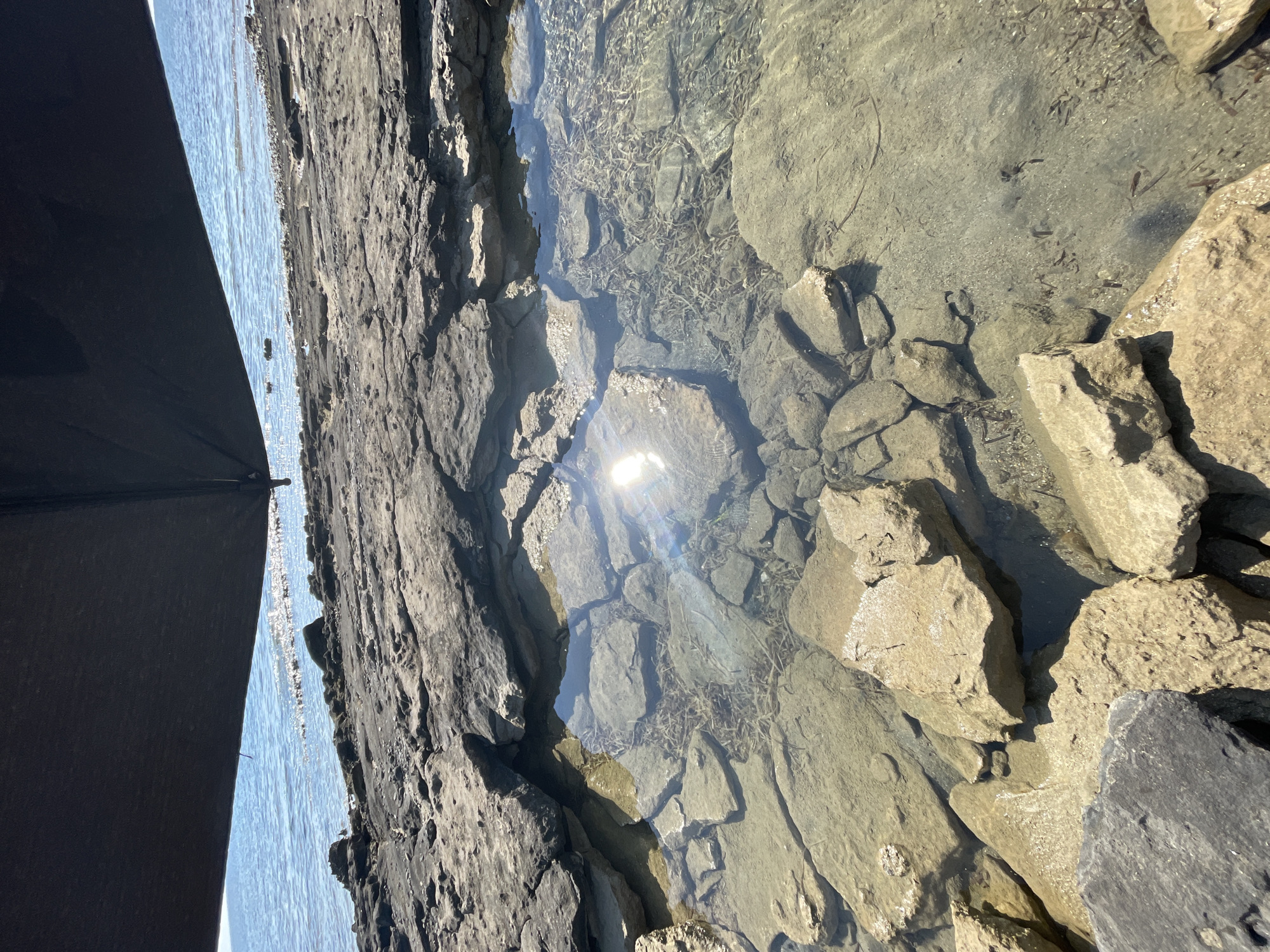 An overhead shot captures a tidal pool on a rocky shoreline beneath a dark umbrella. The sun glints off the water, illuminating the rocky bottom and sparse seaweed within the pool. Beyond the pool, the blue sea stretches to the horizon under a clear sky. The foreground is dominated by large, light-colored rocks.
