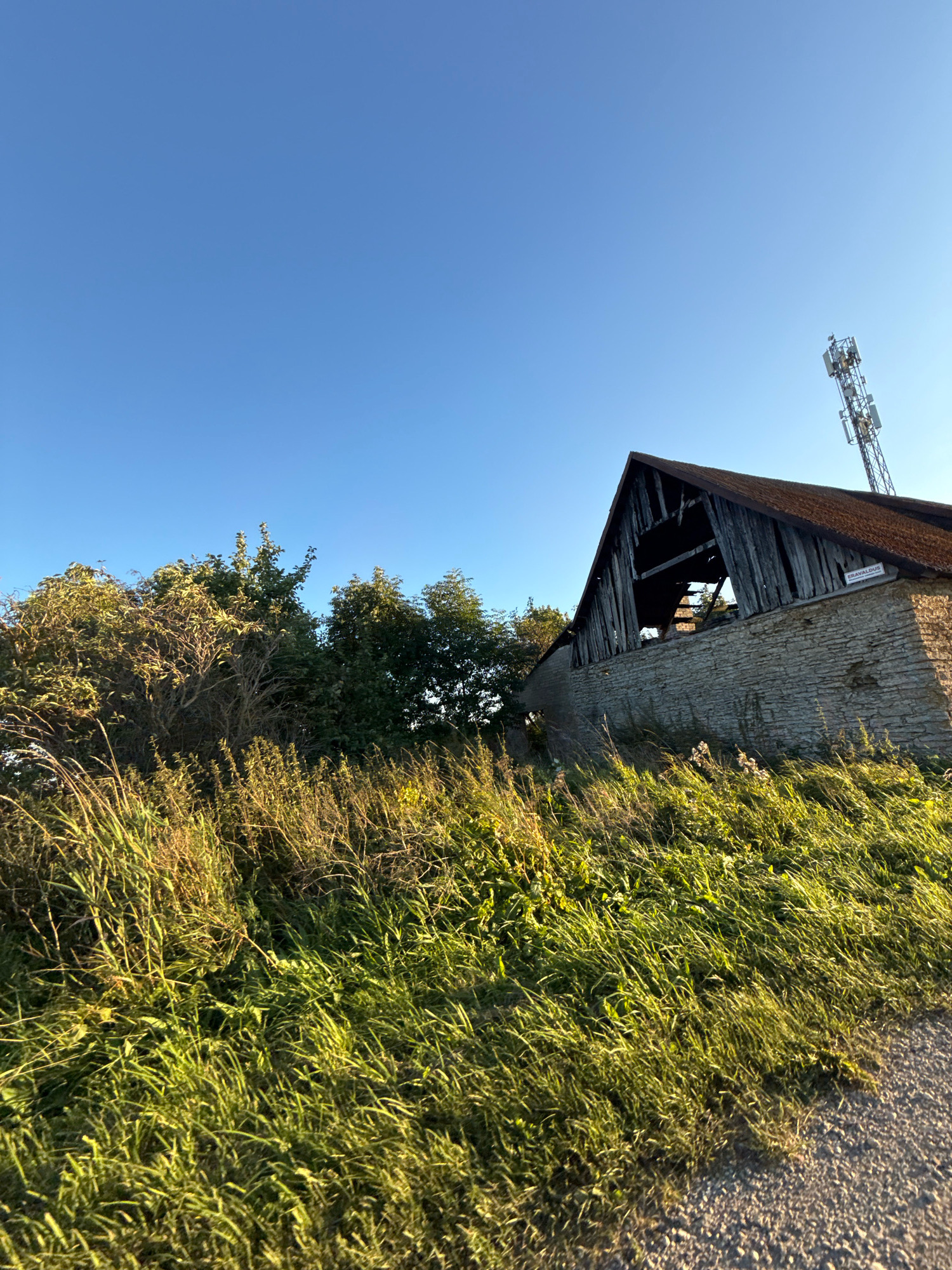 An abandoned, partially ruined stone building with a dark, sloped roof is visible under a clear blue sky. The building is flanked by dense green foliage and tall, dry grass. A cell tower stands in the background to the right of the building. A sign is attached to the side of the building, partially obscured by the roof. The ground in the foreground is a gravel path. The scene appears to be in a rural or semi-rural area, possibly on the outskirts of Järveküla, Estonia.