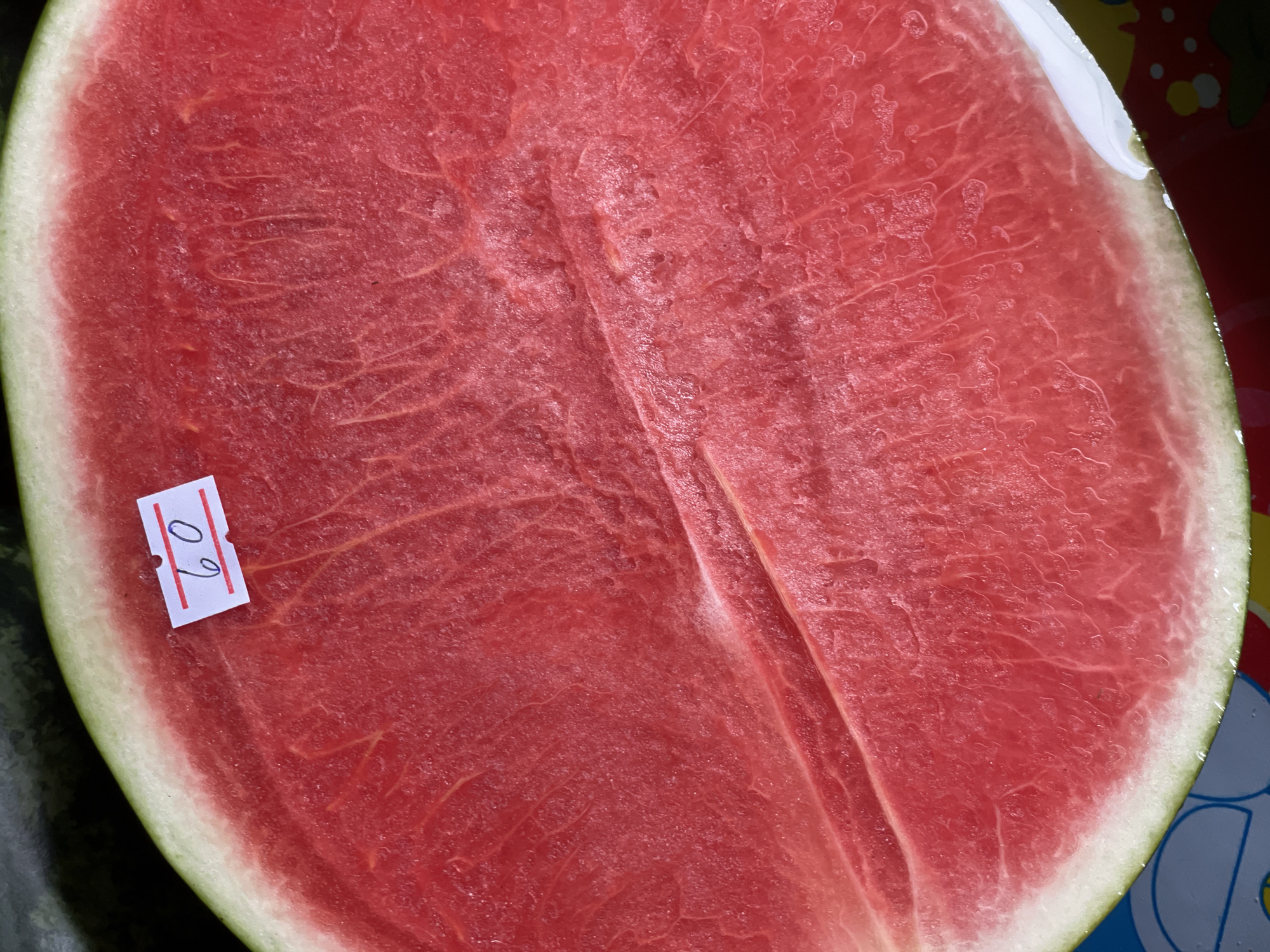 A close-up, overhead shot shows the inside of a halved watermelon with a price tag reading "60" attached to the rind. The watermelon flesh is a vibrant pink-red with visible fibrous strands and a slight sheen, indicating freshness. The rind is a pale green with a white layer underneath, transitioning to the pink flesh. The background is dark and out of focus, suggesting the watermelon is likely at a market stall. There is no indication of the city or country in the image itself.