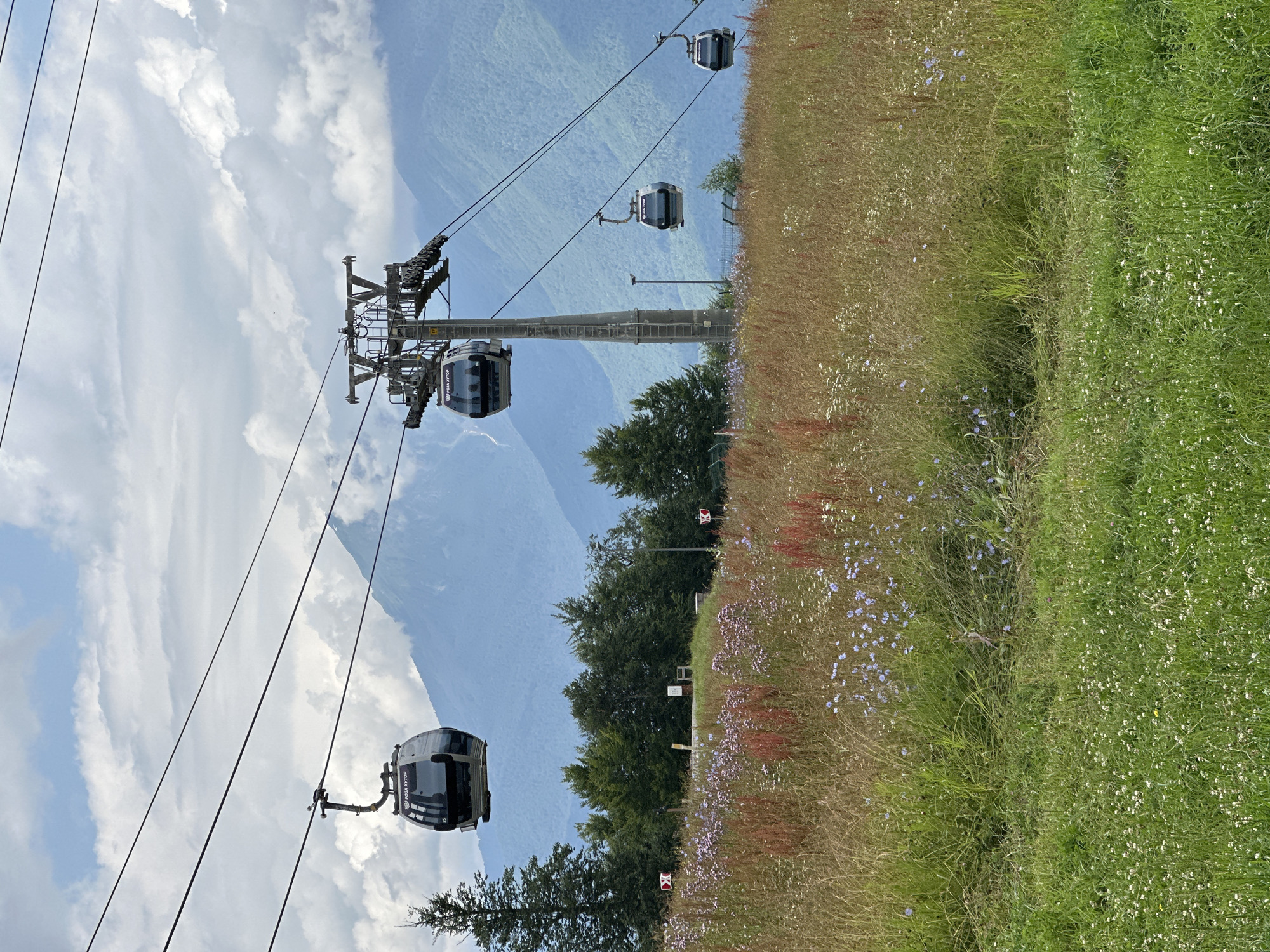 The image depicts a cable car system in the mountain resort of Estosadok, Russia. Several cable car cabins are suspended on wires, moving across the frame. In the foreground, a meadow is covered with green grass and wildflowers in shades of purple, red, and white. Behind the meadow, a line of trees is visible, with a large concrete pylon supporting the cable car system. In the background, majestic mountains rise under a cloudy sky, with some parts of the mountains obscured by mist. The scene appears to be a summer day, with lush vegetation suggesting a temperate climate.