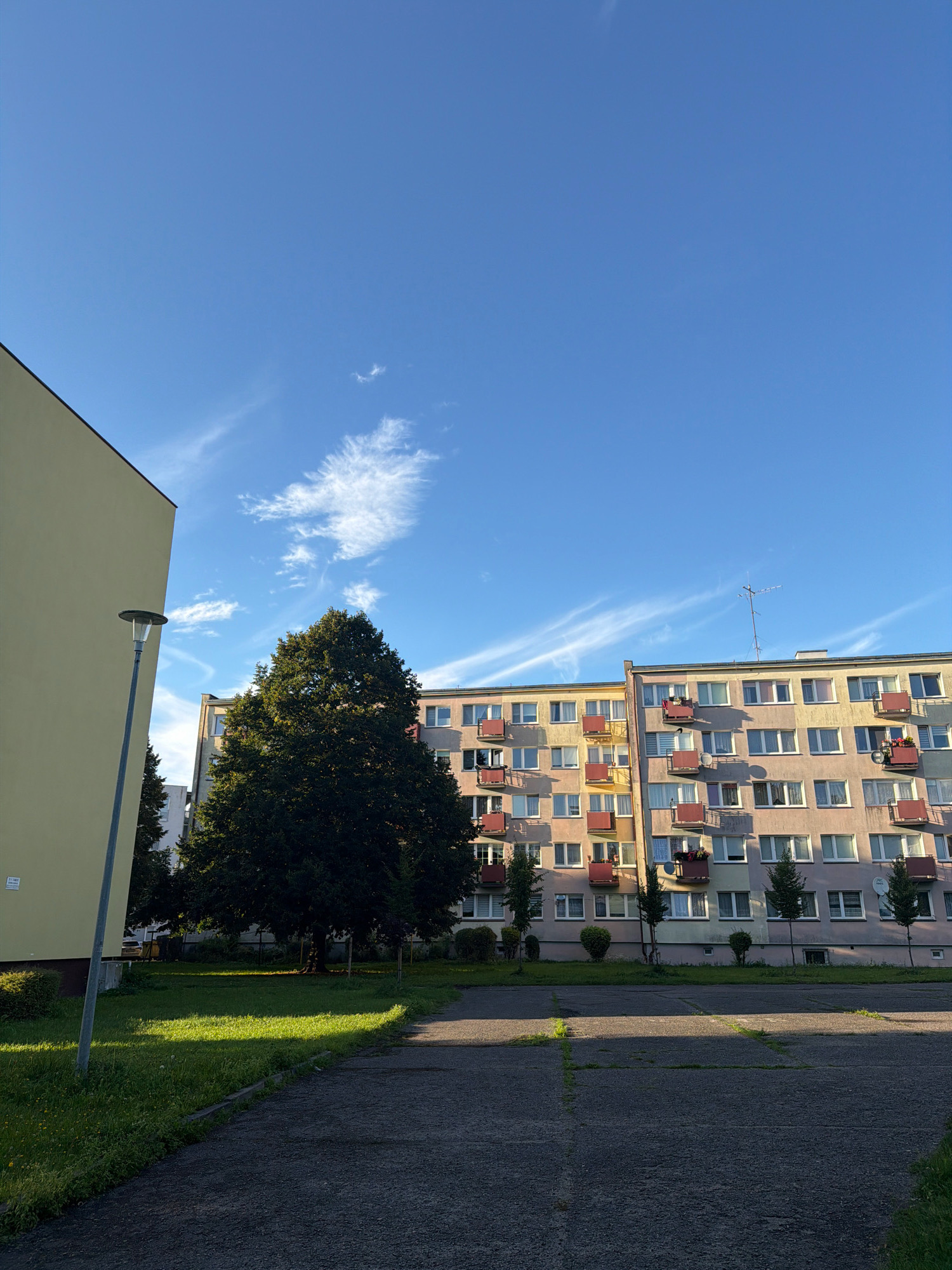 This is an outdoor, eye-level, medium shot photograph taken in the city of Koszalin, Poland. The image depicts a residential area with a pale yellow building on the left and a multi-story apartment building filling the right side of the frame. The apartment building is painted in pastel colors of yellow, pink, and light purple, and features numerous balconies with red railings. A tall, lush green tree stands prominently in the foreground, casting a shadow on the grassy area in front of it. A streetlamp is visible to the left of the tree, near the yellow building. The sky above is a clear, bright blue with wispy white clouds. The ground in the foreground consists of asphalt with some patches of grass and gravel. The scene appears to be set in the morning or late afternoon, given the quality of the light. There are no people visible in the photograph.