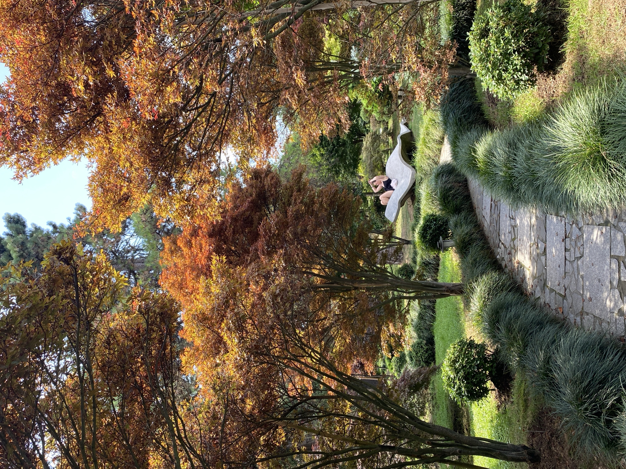 In Batumi, Georgia, a person is reclining on a wave-like concrete sculpture in a garden setting. The person, wearing black shorts and a black top, is looking towards their left, with their arms behind their head. The sculpture is positioned on a grassy area surrounded by ornamental trees with red and orange foliage, suggesting an autumn season. A stone pathway curves through the garden, lined with lush green grass and bushes. In the background, more trees and greenery are visible under a bright sky. The scene is a tranquil outdoor space, possibly a park or botanical garden, characterized by its colorful flora and artistic elements.