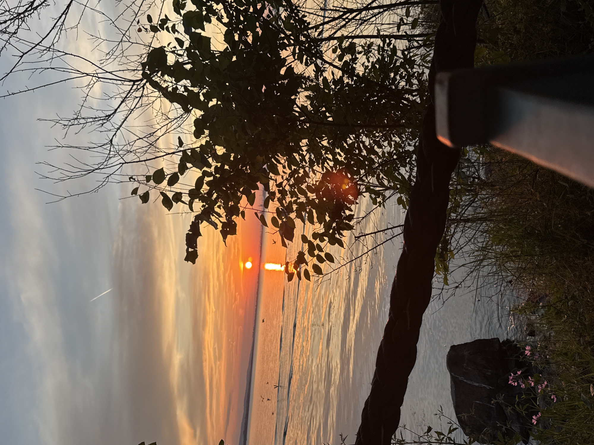 The image depicts a serene sunset over a body of water, likely the sea given the location context of Burgas, Bulgaria. The sun is a bright, glowing orb near the horizon, casting a warm, golden-orange light across the sky and water. Wispy clouds are illuminated by the sunset, creating a dramatic and beautiful sky. A faint contrail from an airplane is visible in the upper left portion of the sky.
The foreground features silhouetted branches of a tree with some sparse leaves, framing the sunset. The water is calm, with gentle ripples reflecting the colors of the sky. On the right side, the shore is covered in lush green grass and some small pink flowers, with a large dark rock near the water's edge. A dark, textured object, possibly a railing or a tree trunk, runs diagonally through the right side of the image, partially obscuring the view of the water and shore.
The overall mood of the image is peaceful and contemplative, evoking a sense of tranquility associated with watching a sunset. The time of day is clearly sunset, and the weather appears to be clear with scattered clouds. There is no visible text in the image.