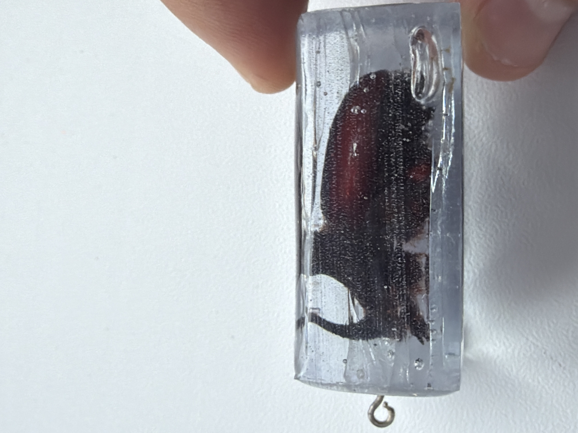 A hand holds a rectangular clear resin pendant containing a preserved insect, likely a beetle, against a white background. The pendant has a silver-colored metal loop at the top and bottom, presumably for attachment to a chain or other findings. Air bubbles are visible within the resin. The location is not discernible from the image.