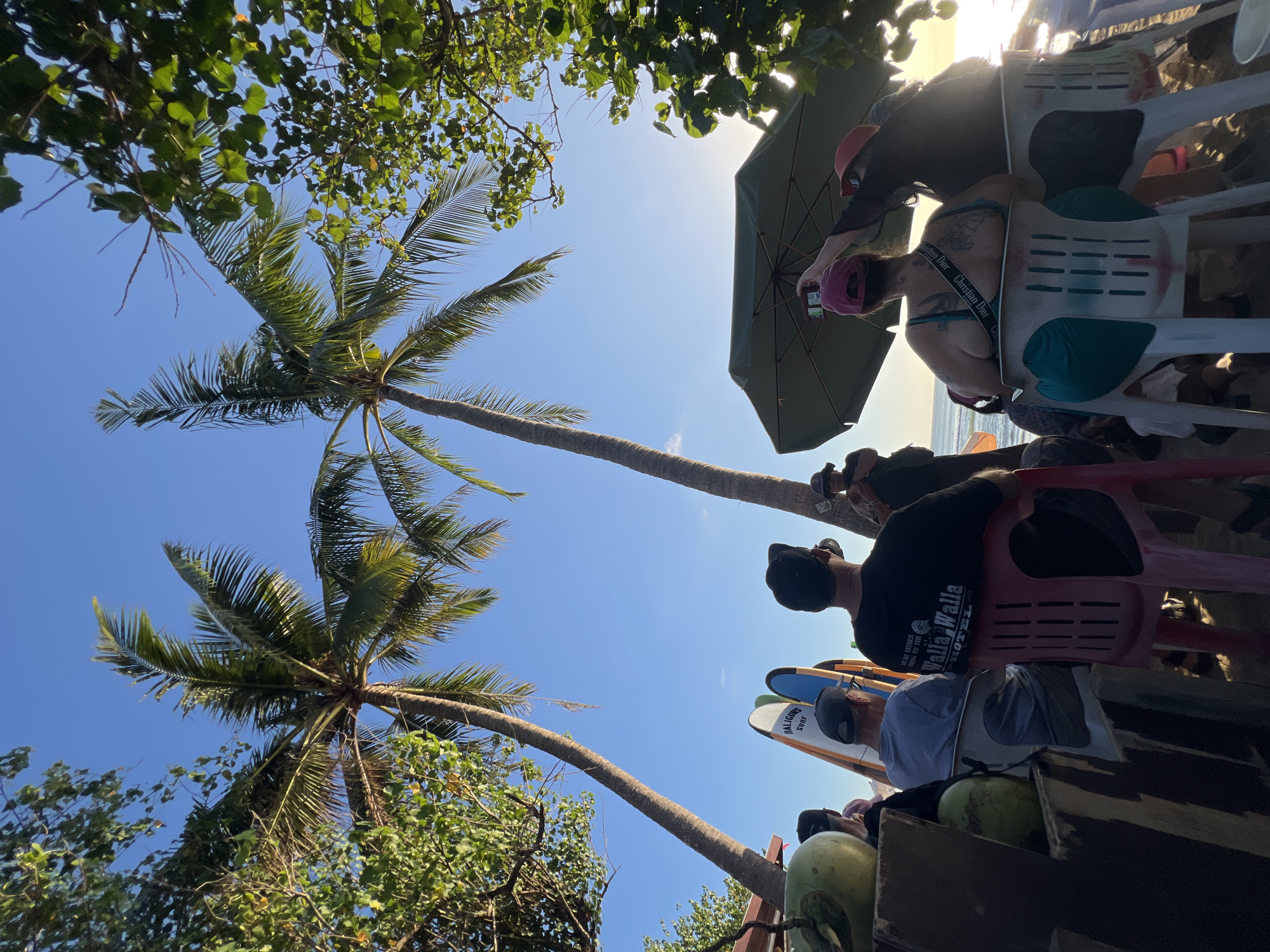 In Kuta, Indonesia, a group of individuals is gathered on a beach under a clear blue sky, with two prominent palm trees framing the scene. The sun is setting, casting a warm glow over the ocean in the background. Several surfboards are propped up near a makeshift counter adorned with coconuts. Some people are seated on plastic chairs, facing the ocean. One person is taking a photo with their phone. The overall atmosphere appears relaxed and casual, typical of a beachside gathering in Kuta.