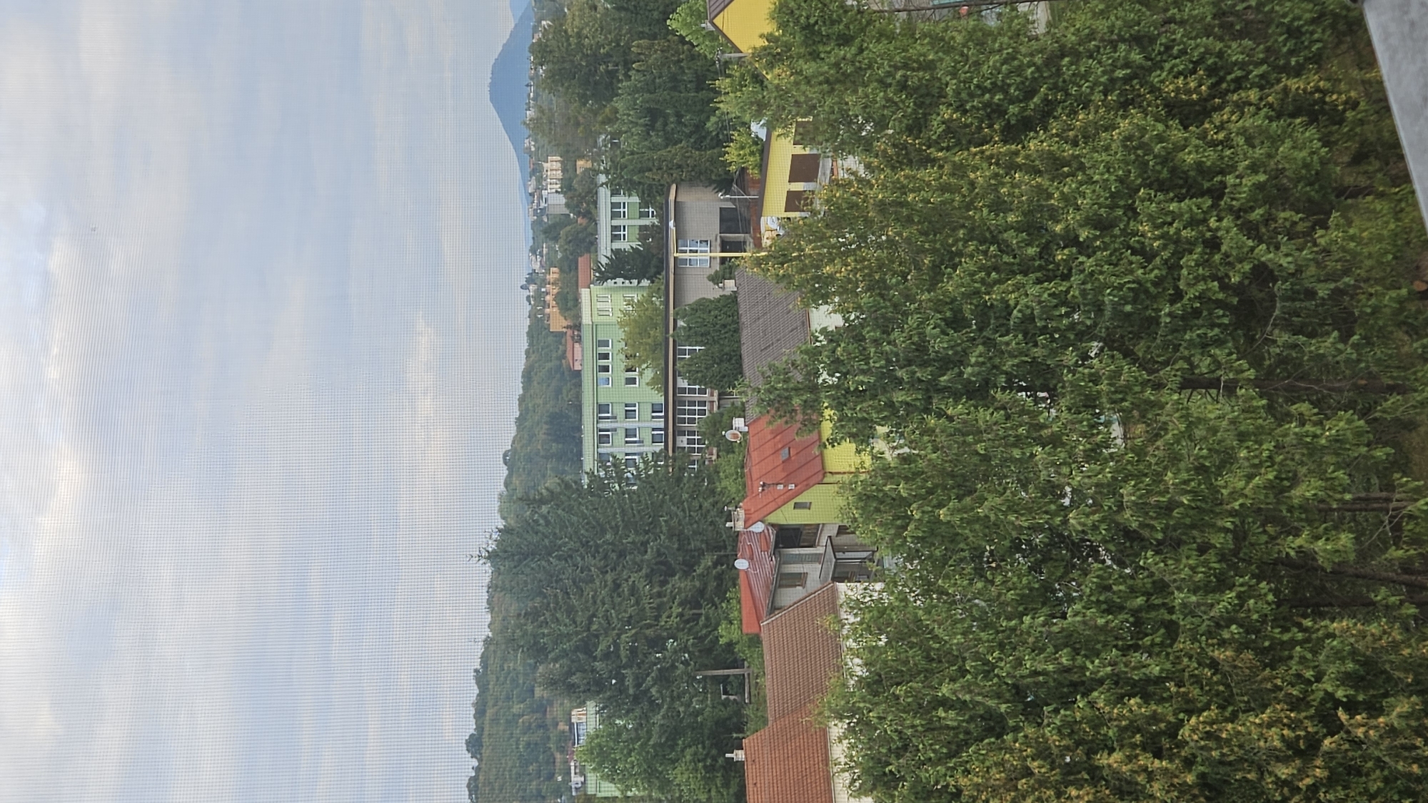 The image captures a view of residential buildings and vegetation in Prešov, Slovakia. In the foreground, a dense line of evergreen trees obscures the lower portion of the scene. Behind the trees, several houses with red and gray tiled roofs are visible, some with colorful facades in yellow and green. Further in the background, larger, multi-story buildings, some painted in light green, dominate the urban landscape. Beyond the buildings, rolling hills covered with trees extend towards the horizon, where a distant mountain is visible under a cloudy sky. The presence of window screens suggests the photo was taken from indoors looking out.