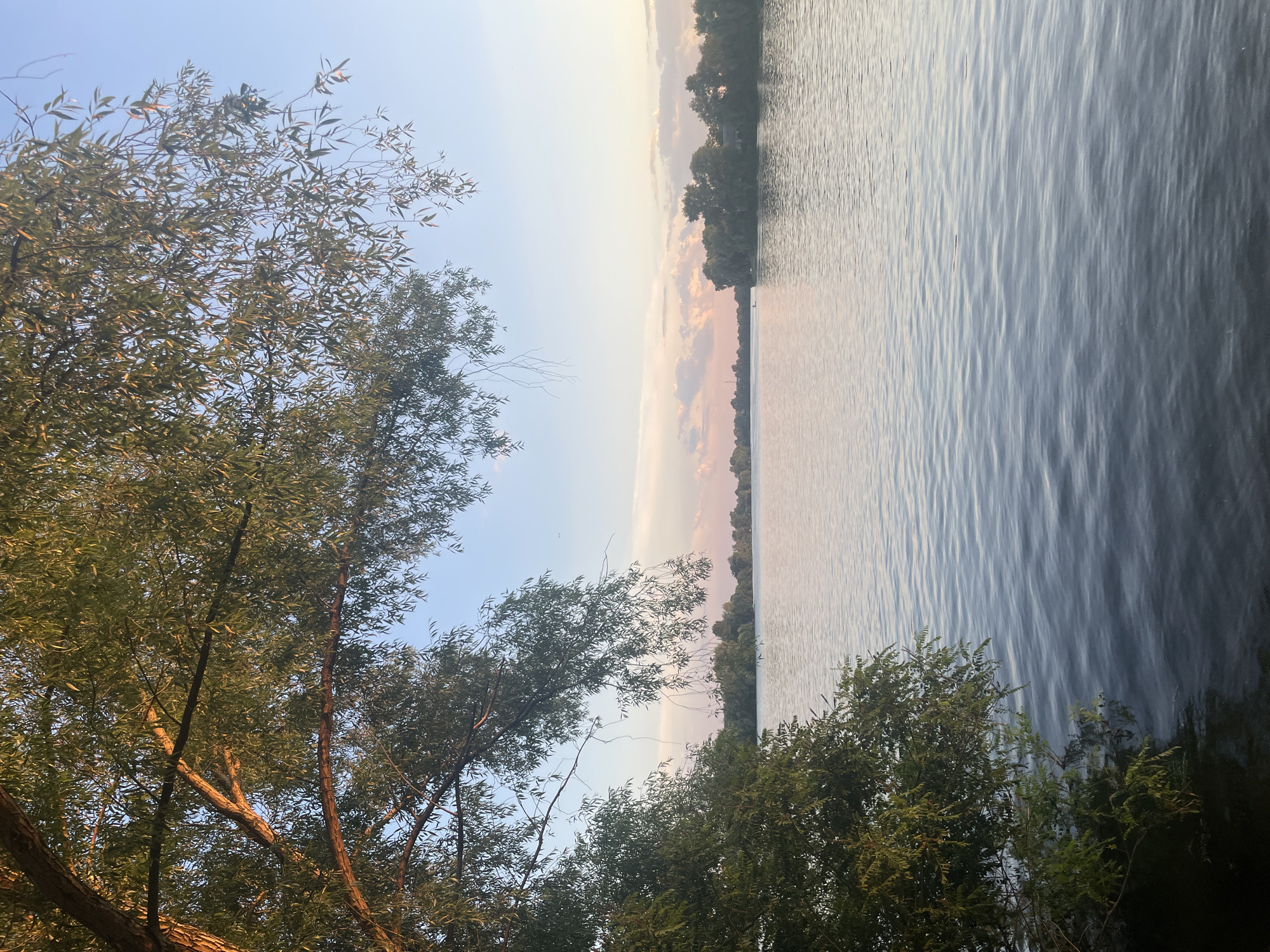 The image shows a natural scene of a lake or river with trees on the left bank and foliage in the foreground. The water is calm with gentle ripples, reflecting the soft light of the sky. The sky is a pale blue with some wispy clouds tinged with pink and orange, suggesting it is either sunrise or sunset. The trees are lush and green, with some branches extending over the water. The overall mood is peaceful and serene. The image is oriented vertically. The location context provided is Kyiv, Ukraine. There is no visible text in the image.