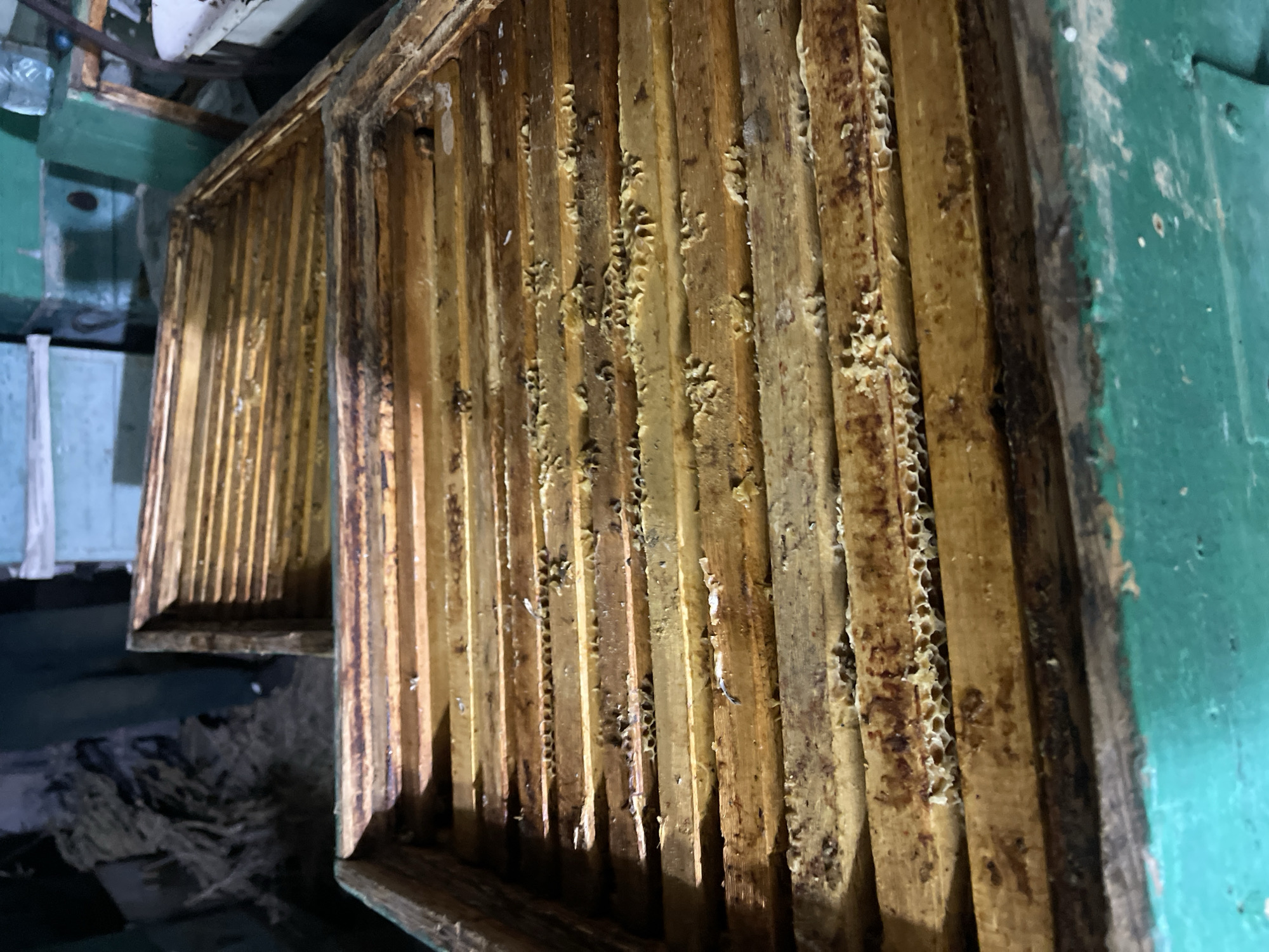 The image shows an open beehive with visible honeycomb structures and bees. The beehive is made of wooden frames, some of which appear to be coated with wax or propolis. There are several horizontal wooden bars within the hive, supporting the honeycomb. Some of the honeycomb is partially filled or damaged. In the background, other beehives or storage containers are visible, some painted green. A person's legs are partially visible on the left side of the image, dressed in dark clothing, standing in what appears to be a dimly lit indoor or covered outdoor space. The environment suggests a beekeeping operation or storage area. The exact location in Joğarğy Berezovka, Kazakhstan is not visually determinable from the image itself.