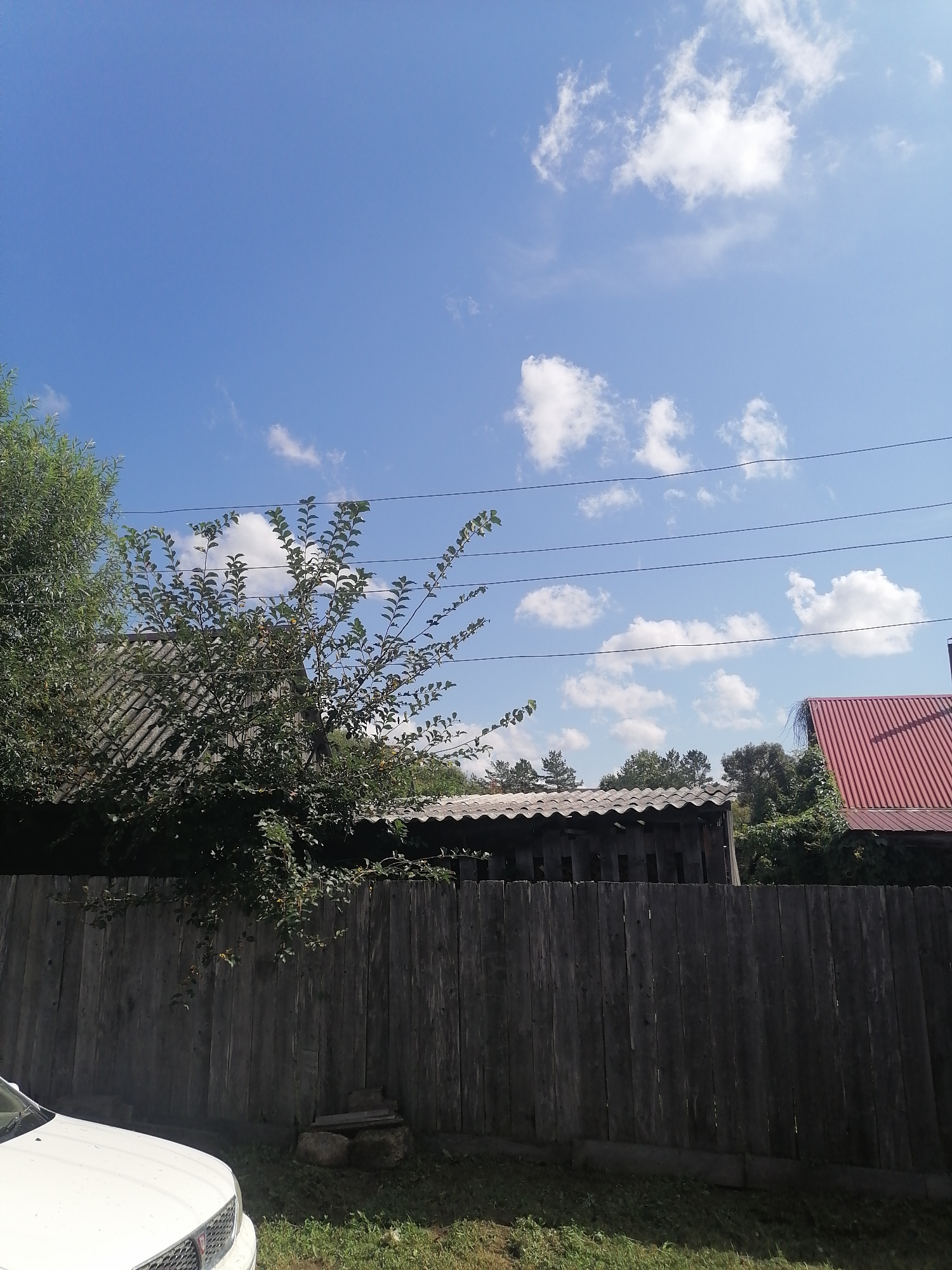 The image depicts a clear blue sky with scattered white clouds. In the foreground, a weathered wooden fence runs horizontally across the frame. A portion of a white car is visible on the left side of the image, partially obscured by the fence. Behind the fence, there is dense green foliage and several structures with corrugated roofs. To the right, a building with a red corrugated roof is visible. Power lines are strung across the sky. The scene appears to be an outdoor residential area, potentially in the city of Novopokrovka, Russia, given the context. The overall impression is that of a sunny day in a rural or semi-rural setting.