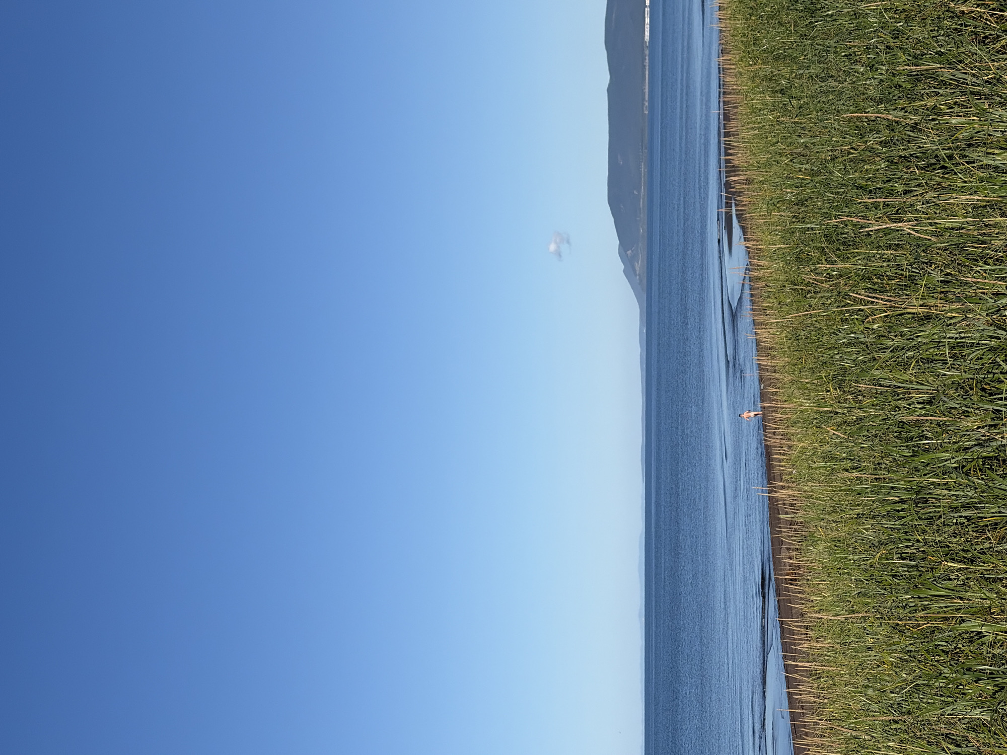 In Ozerskoye, Russia, a clear blue sky stretches above a tranquil body of water. In the foreground, tall, green reeds sway gently, bordering a dark sandy beach. A lone individual, appearing to be a child, walks near the water's edge. In the distance, a chain of low-lying mountains forms the horizon, their peaks softened by the atmospheric haze. The scene suggests a peaceful, natural setting on a bright, sunny day.