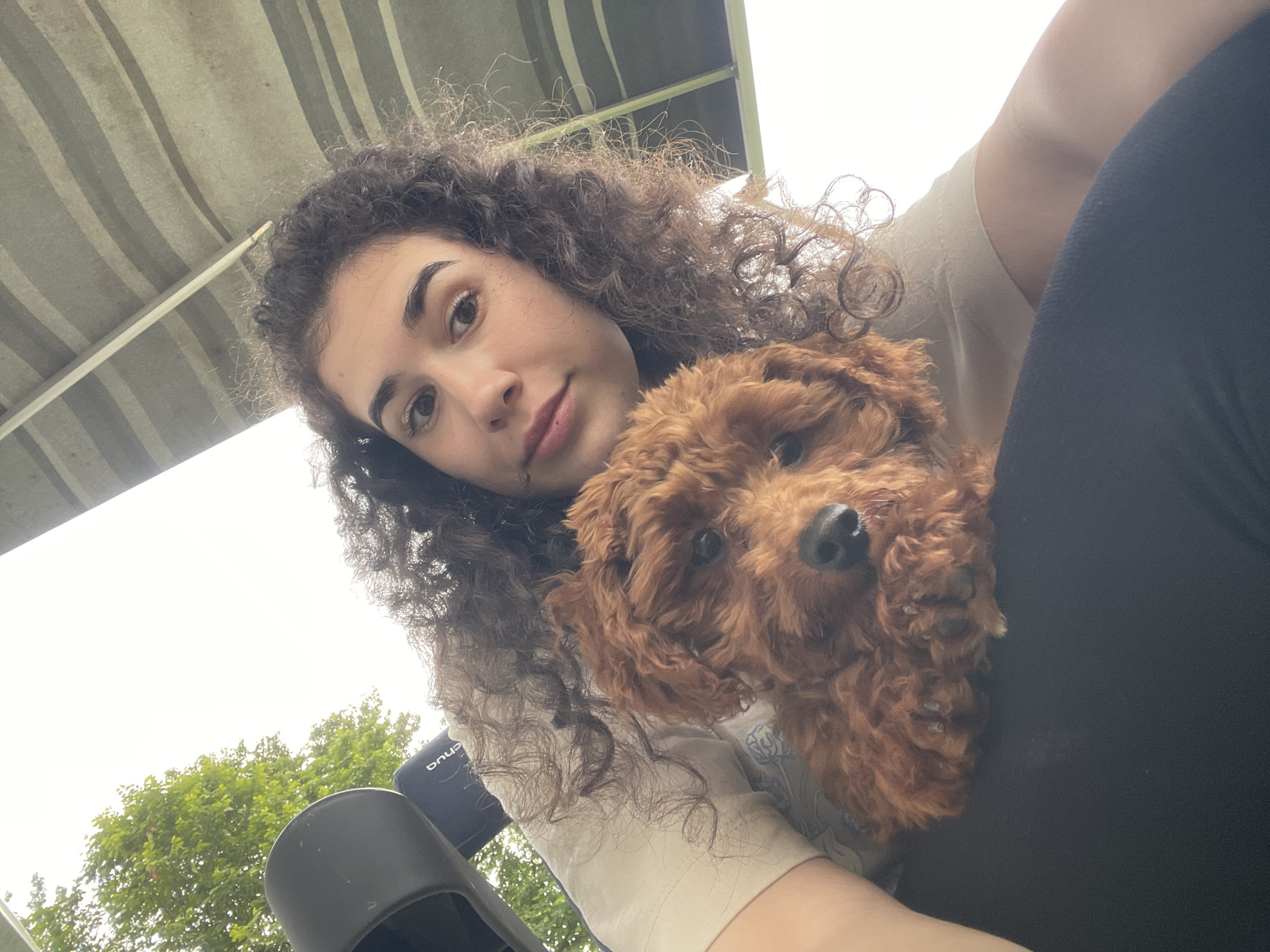 An upward-angled selfie captured in the city of Koprinka, Bulgaria, shows a young adult female with dark, curly hair and a visible philtrum piercing. She is looking directly at the camera with a neutral expression, wearing a light-colored short-sleeved top and dark pants or leggings. Resting on her lap or chest is a small, reddish-brown, fluffy dog, likely a puppy, with dark eyes and nose, also looking towards the camera. Its front paws are tucked.
The background reveals an outdoor setting. A bright, overcast sky dominates the upper left, with green tree foliage visible against it. Across the upper right, a striped fabric awning, featuring alternating light and dark bands (possibly green/grey), extends overhead, supported by a visible white rod. In the upper left corner, a partial black object, resembling a sandal or part of a car seat, is visible, along with a blue object beneath it displaying white partial text that appears to read "bnud" or similar.
