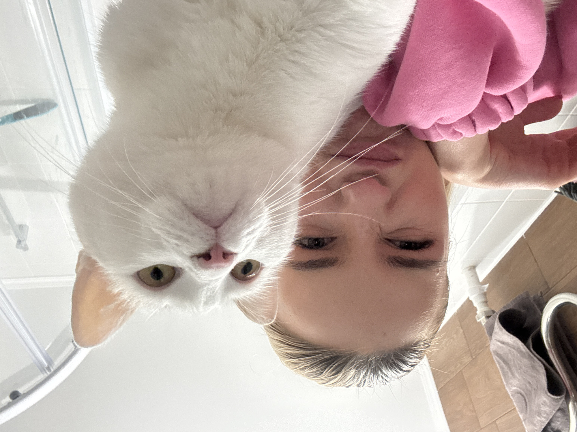 A white cat with yellow eyes is positioned above a fair-skinned woman with blonde hair. The woman is wearing a pink sweatshirt. The scene appears to be indoors, potentially in a bathroom based on the presence of what looks like a shower door and tiled walls. The location is not determinable from the image.