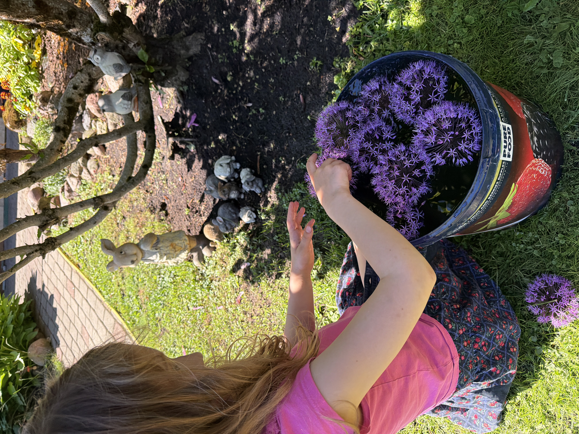 In the city of Baloži, Latvia, an outdoor scene unfolds in a sunlit garden. A young child, partially visible from the upper back and right side, with light brown hair, kneels on vibrant green grass. The child wears a pink short-sleeved top and a dark skirt patterned with red flowers. Their hands are engaged with a dark blue plastic bucket positioned on the grass to their right. The bucket's label features a prominent red strawberry image and text including "PURE FOOD" and "FRUIT AND BERRIES RIPPLES". Inside the bucket, numerous spherical purple allium flower heads float in water. One detached allium flower head rests on the grass near the bucket.
In the background, a patch of dark soil surrounds the base of a tree with visible branches. Multiple grey rabbit figurines are arranged on this soil, with a larger standing rabbit figurine further back to the left. Two small grey owl figurines are perched on a branch of the tree. A paved path constructed from light-colored bricks or pavers curves through the upper left background, beyond which diverse green foliage and some reddish-orange flowers are visible. Strong sunlight casts distinct shadows across the grass and under the tree.
