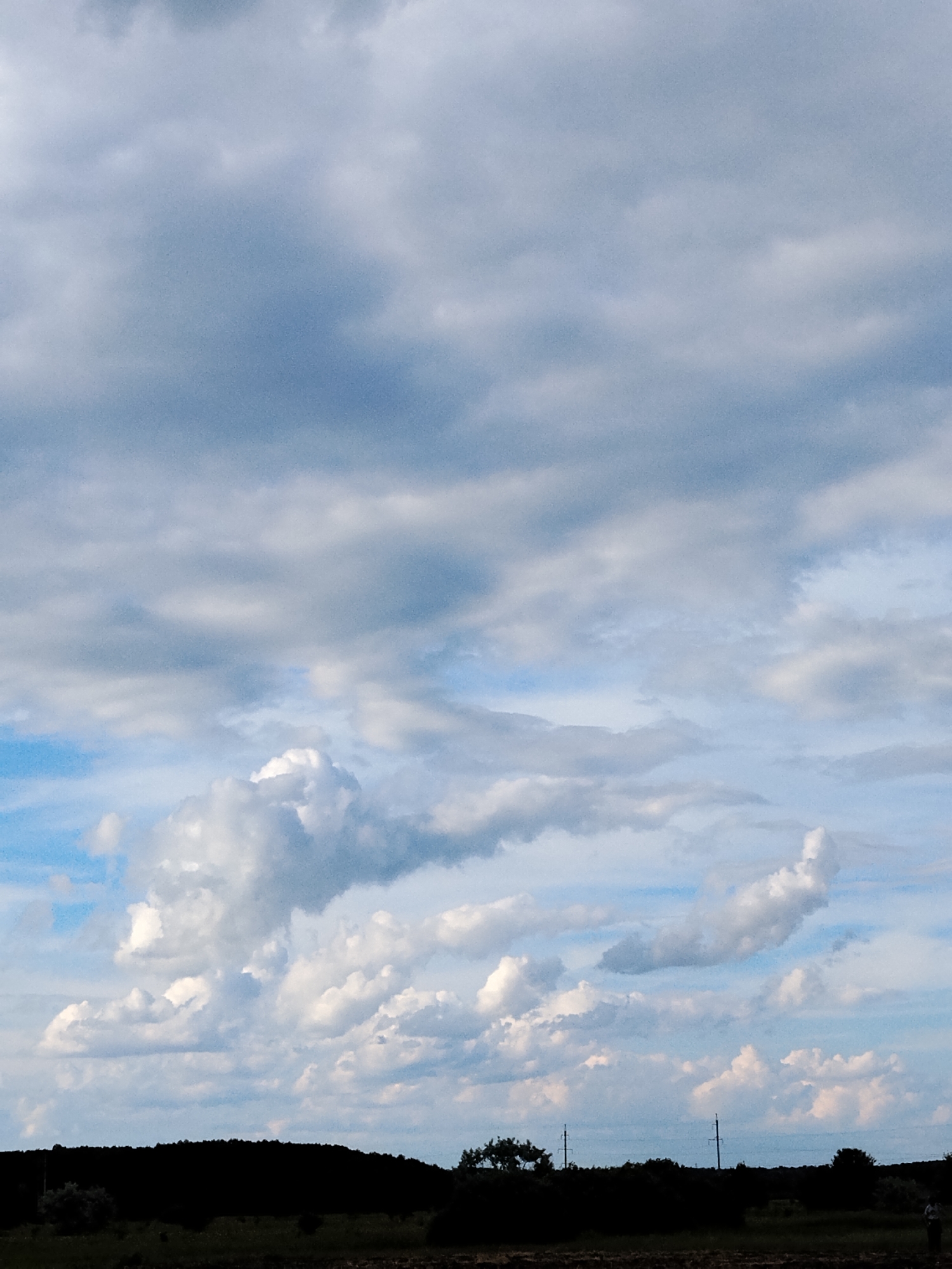 This is a landscape photograph taken in Ustyvytsya, Ukraine, featuring a vast sky filled with dramatic clouds. The lower portion of the image is dominated by a dark, silhouetted treeline that creates a stark contrast with the sky above. The clouds are varied in texture and density, with some appearing bright white and puffy, while others are a more subdued gray, suggesting overcast or changing weather conditions. The sky transitions from a pale blue near the horizon to a deeper gray towards the top of the frame. Several utility poles are visible within the treeline, and a faint figure of a person can be seen on the far right edge of the frame, standing in what appears to be a field or open area. The ground in the foreground is dark and appears to be tilled or uncultivated land.