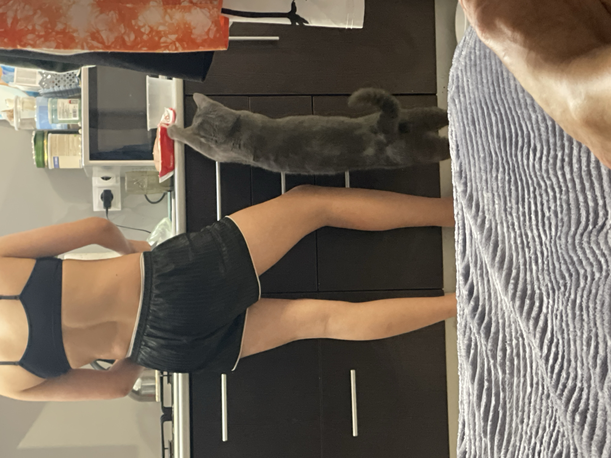 A woman stands in a kitchen next to a counter. The counter has a gray cat lying on it. The kitchen has dark brown cabinets and a light gray bath mat. Other items are visible in the background. The location is not indicated.