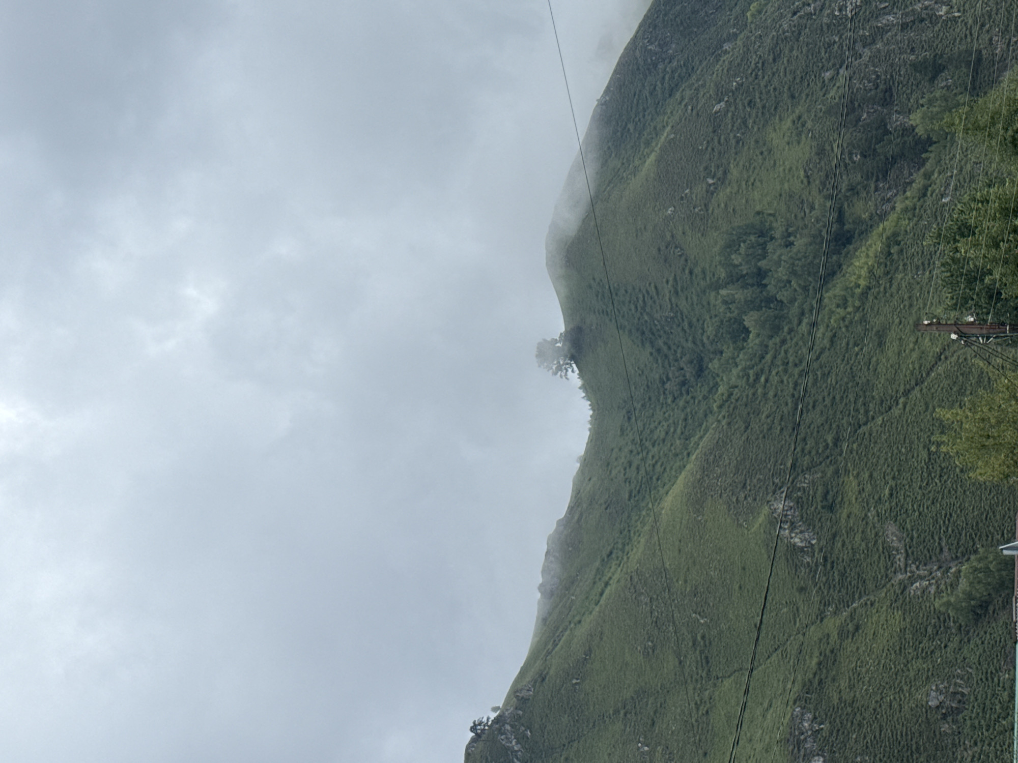 A view of a lush, green mountain slope under a cloudy sky in Manzherok, Russia. The mountain is covered in dense vegetation, with patches of rocks visible on its surface. A few scattered trees are present on the slopes, with a more concentrated cluster of trees further down the mountainside. A solitary, mature tree stands prominently on a ridge towards the top of the mountain. A thin, wispy layer of fog or mist drifts across the upper part of the mountain, obscuring some of the rocky outcrops. In the foreground, a series of dark, horizontal lines, likely power lines, stretch across the frame. Below the power lines, the tops of several trees are visible, suggesting a forested area or settlement at the base of the mountain. The sky is overcast with a uniform grey hue, indicating a cloudy or possibly rainy day.