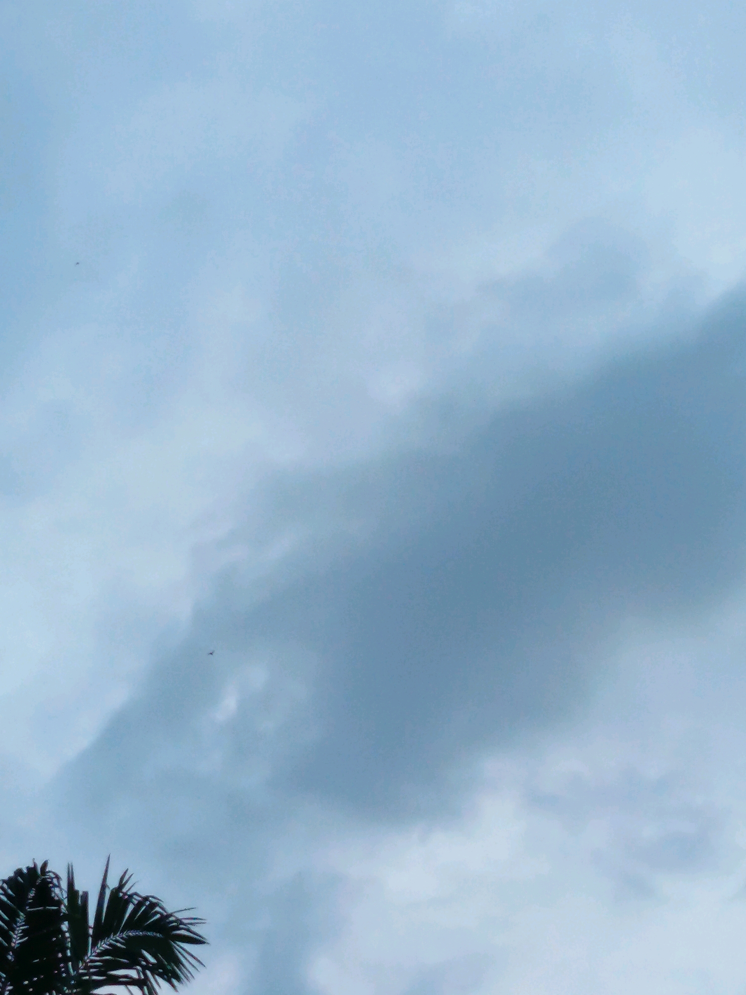 The image shows a cloudy sky with some palm fronds visible at the bottom left. Two small birds are flying in the sky. The scene is set in Aluekumba, Indonesia.