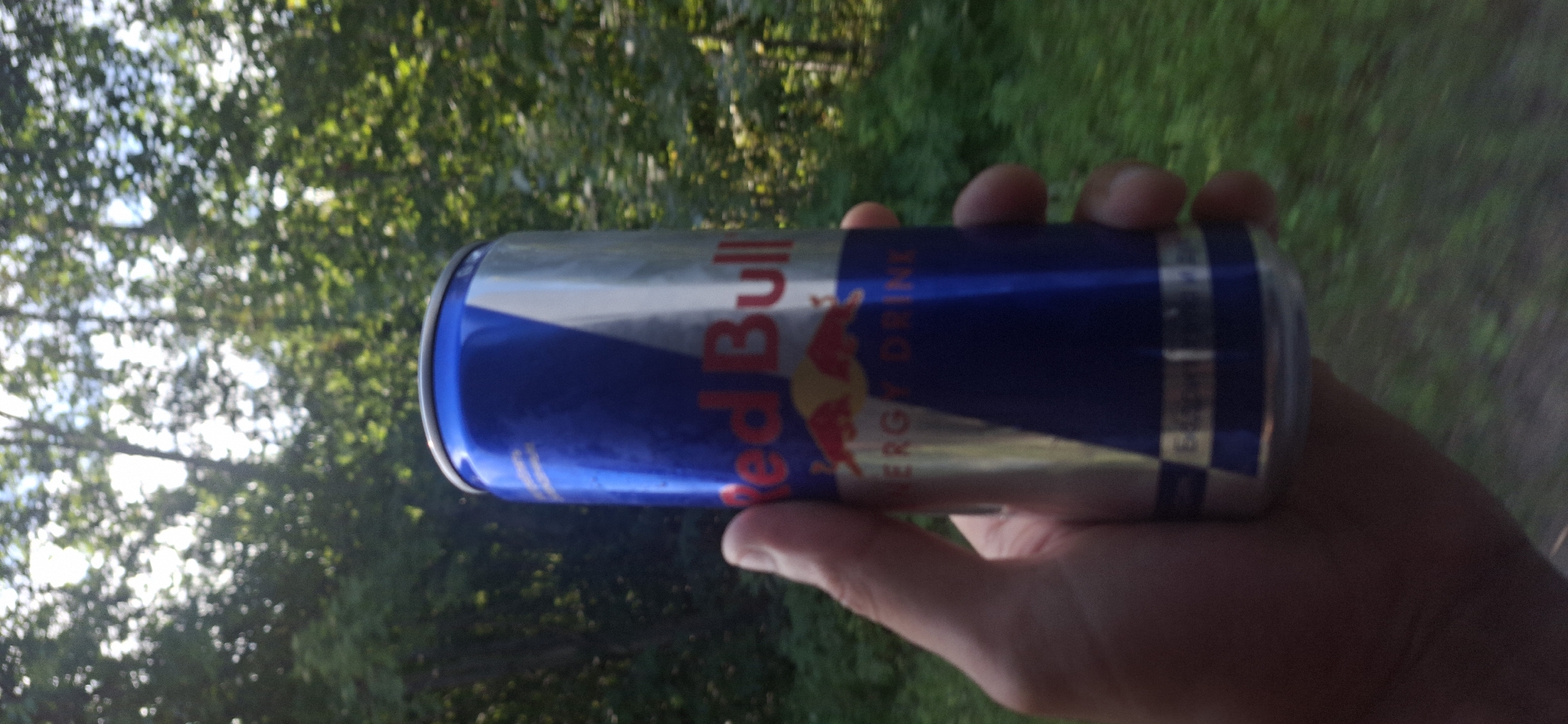 A hand is holding a Red Bull energy drink can in front of a blurred background of trees and foliage. The can is predominantly blue and silver with the Red Bull logo prominently displayed in red lettering. Two red bulls are depicted on the can, and the words "ENERGY DRINK" are visible below the logo. The can appears to be slightly condensation-covered. The background suggests an outdoor, possibly wooded, environment, with sunlight filtering through the leaves. The image is taken from a low angle, looking slightly up at the can.