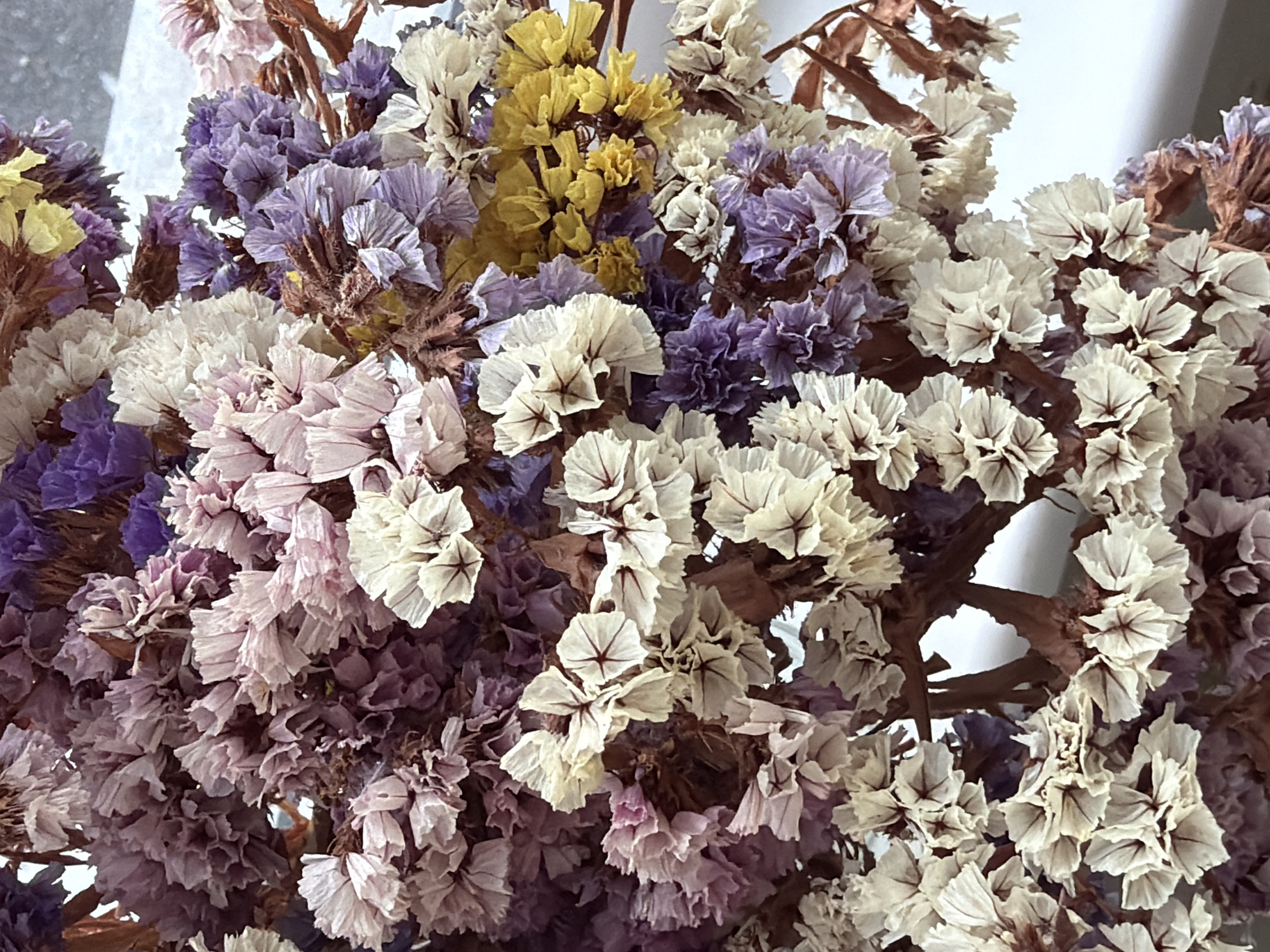 A close-up, overhead shot shows a bouquet of dried flowers, predominantly in shades of lavender, white, and pale yellow, with some deeper purple hues. The flowers appear delicate and papery, with intricate petal structures and visible brown stems. The background is a blurred white surface, suggesting the bouquet is placed on a table or shelf. No specific location in Kyiv, Ukraine can be determined from the image.