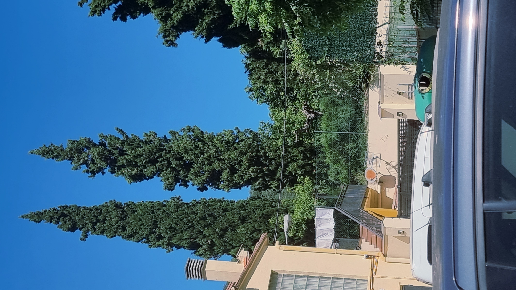 In Montagut i Oix, Spain, under a clear blue sky, a scene unfolds with a juxtaposition of nature and human infrastructure. Two tall, slender cypress trees dominate the center of the frame, their dark green foliage reaching towards the sky. To the left, a pale yellow building with a red-tiled roof is partially visible, featuring a prominent chimney and a window with a grid pattern. A set of outdoor stairs with dark railings ascends the side of the building. White laundry hangs on a line in front of a metal railing. Further to the right, a dense green hedge and various trees form a natural backdrop. In the foreground, the tops of two vehicles are visible, one a dark gray car and the other a white van with shark fin antennas. A glimpse of a green object with a distinct yellow and black circular design is also present, suggesting a unique or decorative element. The overall impression is one of a sunny day in a residential or semi-rural setting.