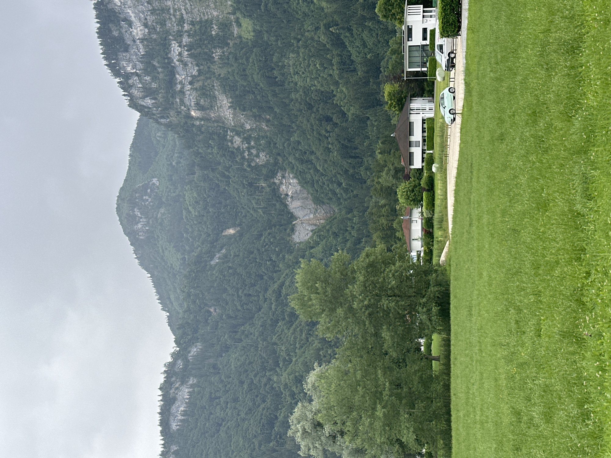 The image shows a view of the Karren mountain in Dornbirn, Austria. The mountain is covered in lush green trees, with some rocky outcrops visible. In the foreground, there is a large grassy field. Several modern houses and a road with two cars are visible in the middle ground. The sky is overcast and grey.