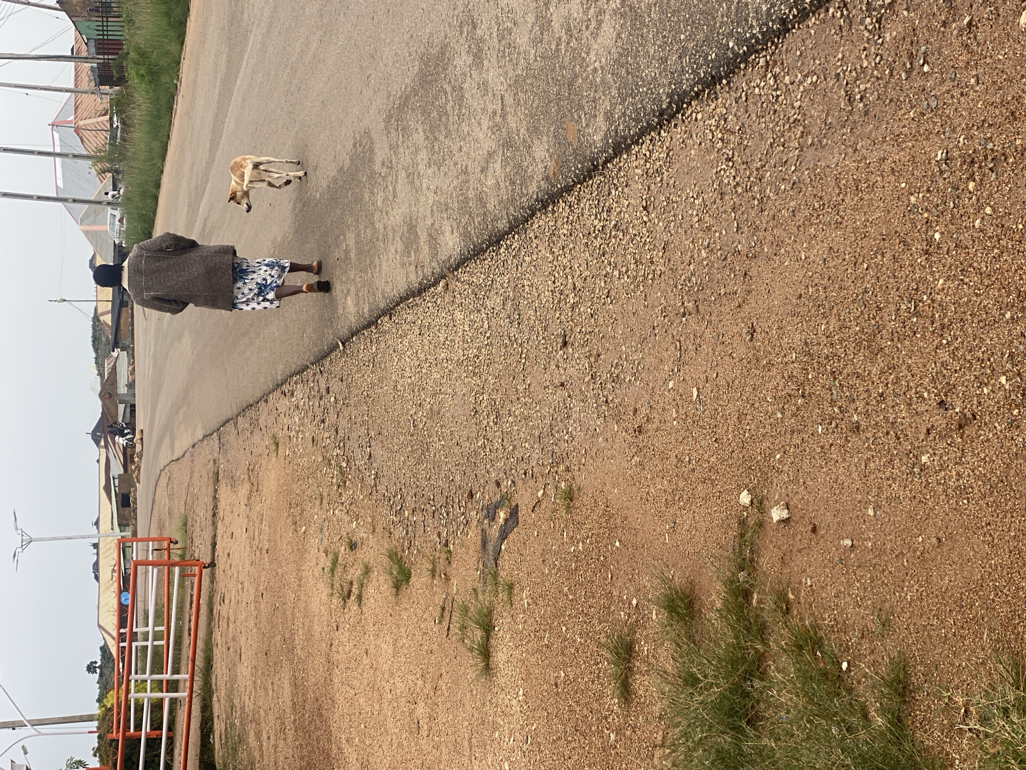 In DU, Nigeria, on an overcast day, a person walks down a paved road alongside a sandy, gravelly embankment. The individual, viewed from behind, wears a dark beanie, a patterned brown jacket, and a blue and white floral skirt, with sandals on their feet. A light brown dog with dark ears walks a few paces behind them. To the left of the road, a red and white metal barrier is erected on the embankment. In the background, buildings with corrugated metal roofs and fences are visible, along with a white car and a motorcycle. The sky is a pale grey, indicating diffused light.