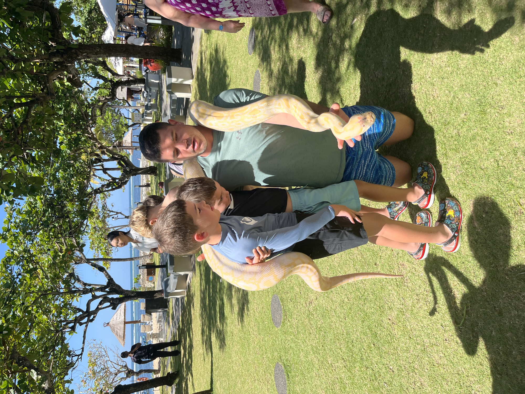 In Kuta Selatan, Indonesia, a man in a green t-shirt and blue patterned shorts kneels on a grassy area, holding a large, pale yellow python around his neck and arms. The python's body wraps around his shoulders and extends down his right side. Two young boys are standing near him, with one boy in a blue long-sleeved shirt and black shorts reaching out to touch the snake, and another boy in a black t-shirt and blue shorts also looking at the reptile. The man and the boys appear to be interacting with the snake. Behind them, several trees with lush green foliage provide shade, casting shadows on the lawn. In the background, there are beach chairs, umbrellas, and a body of water, suggesting a coastal resort or park setting. The sky is clear and blue.