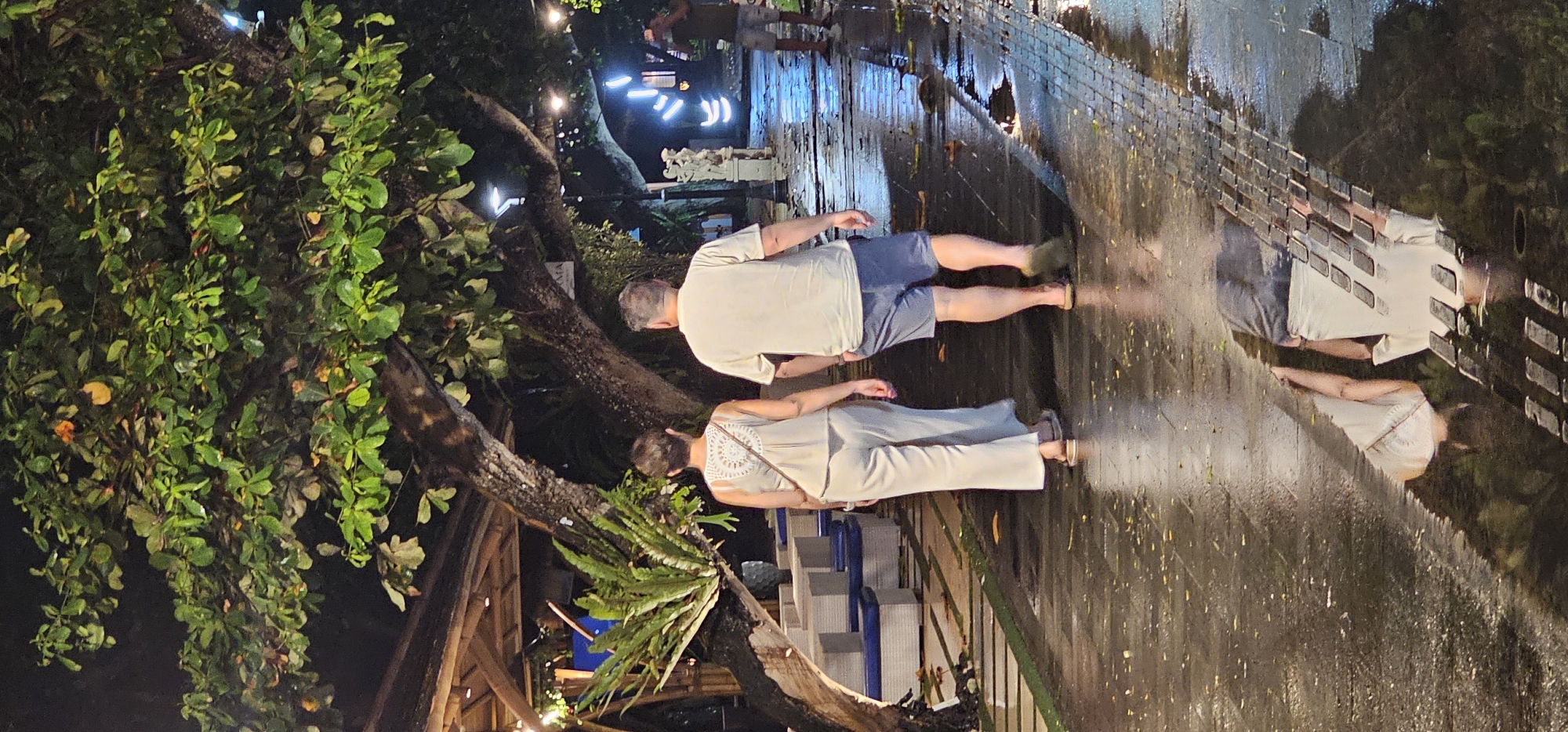 This nighttime image, set in Denpasar, Indonesia, captures two people from behind, walking or standing on a wet, reflective ground. The scene is rich with lush green foliage from trees and plants, characteristic of a tropical environment.
The main subjects are a man and a woman. The man, with short grey hair, is wearing a light-colored t-shirt and blue shorts, with dark sandals. Beside him, the woman has light-colored hair and is dressed in a light-toned top featuring an intricate, possibly crocheted or embroidered, pattern on the back, and light-colored wide-leg pants, also wearing sandals. Both individuals are looking forward, their attention seemingly drawn to something ahead.
A striking feature of the image is the highly reflective wet ground, which mirrors the figures, the numerous warm artificial lights, and other elements of the environment, creating elongated and shimmering reflections. These lights, resembling string lights or fairy lights, are scattered among the trees and contribute to the warm, ambient glow of the scene against the dark night. Beyond the path, various wooden or bamboo-like structures are visible, suggesting outdoor dining or seating areas. Dense green leaves and ferns growing on tree trunks further emphasize the natural, overgrown setting. No clearly legible text is visible in the image. The overall atmosphere is calm and peaceful, suggesting an evening stroll or observation in a well-lit outdoor area after rain.