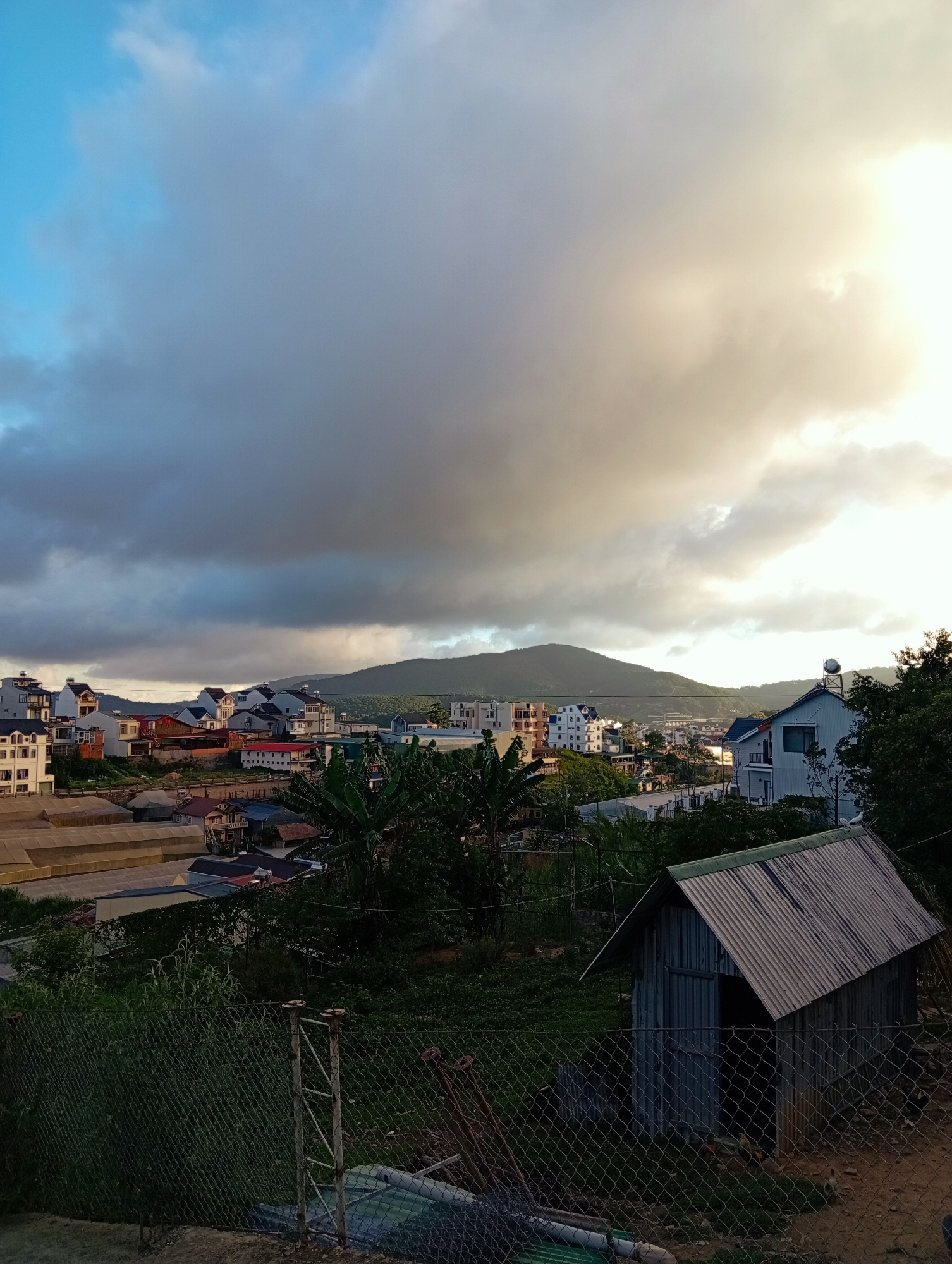 The image captures a panoramic view of Da Lat, Vietnam, under a sky filled with dramatic, layered clouds; the left side displays clearer blue sky, while the right is suffused with a bright, yellow light. The scene is elevated, as indicated by the foreground elements of a chain-link fence and a weathered shed with a corrugated metal roof.
Beyond the fence, dense vegetation and banana trees separate the viewer from a middle-ground of residential buildings, displaying a mix of architectural styles. A mountain looms in the background, its gentle slope suggesting a natural boundary to the urban sprawl. The presence of greenhouses in the foreground implies agricultural activities common in the Da Lat region.